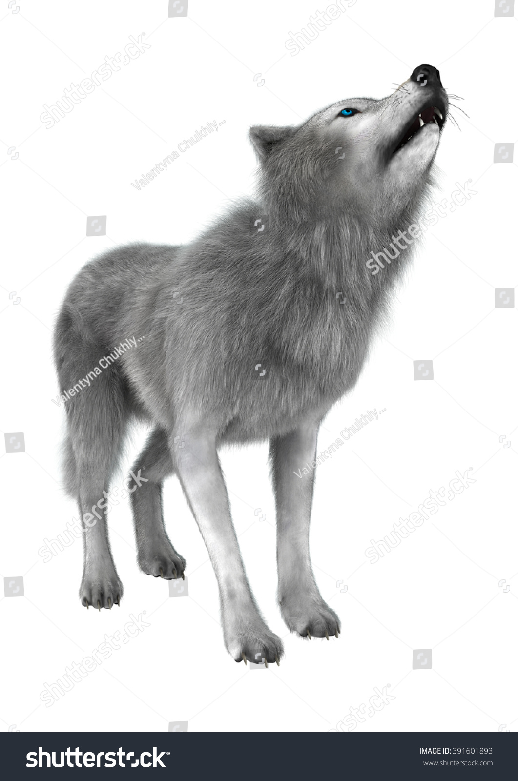 Digital Render Polar Wolf Howling Isolated Stock Illustration