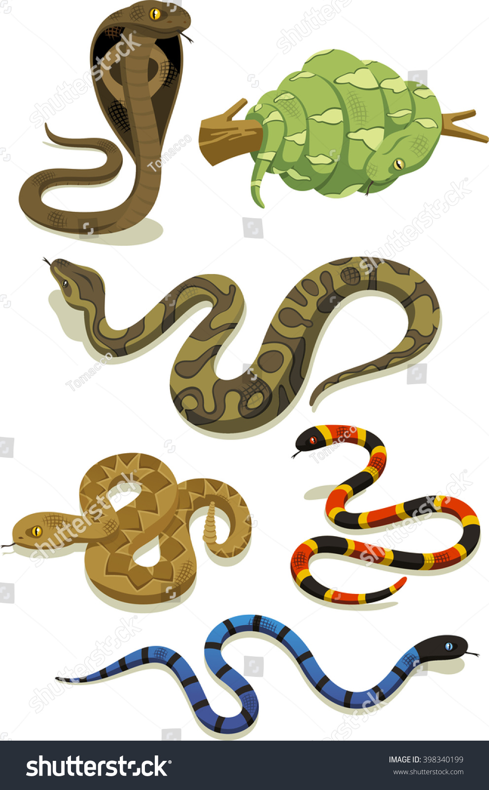 Venomous Snake Vector Cartoon Set Stock Vector Royalty Free 398340199