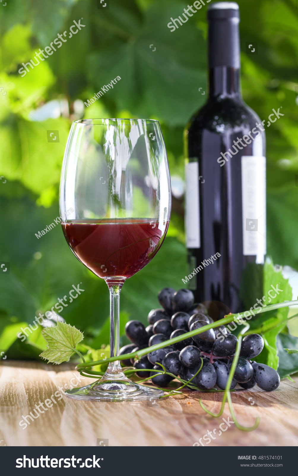 Glass Bottle Vintage Red Wine Alcohol Stock Photo Shutterstock