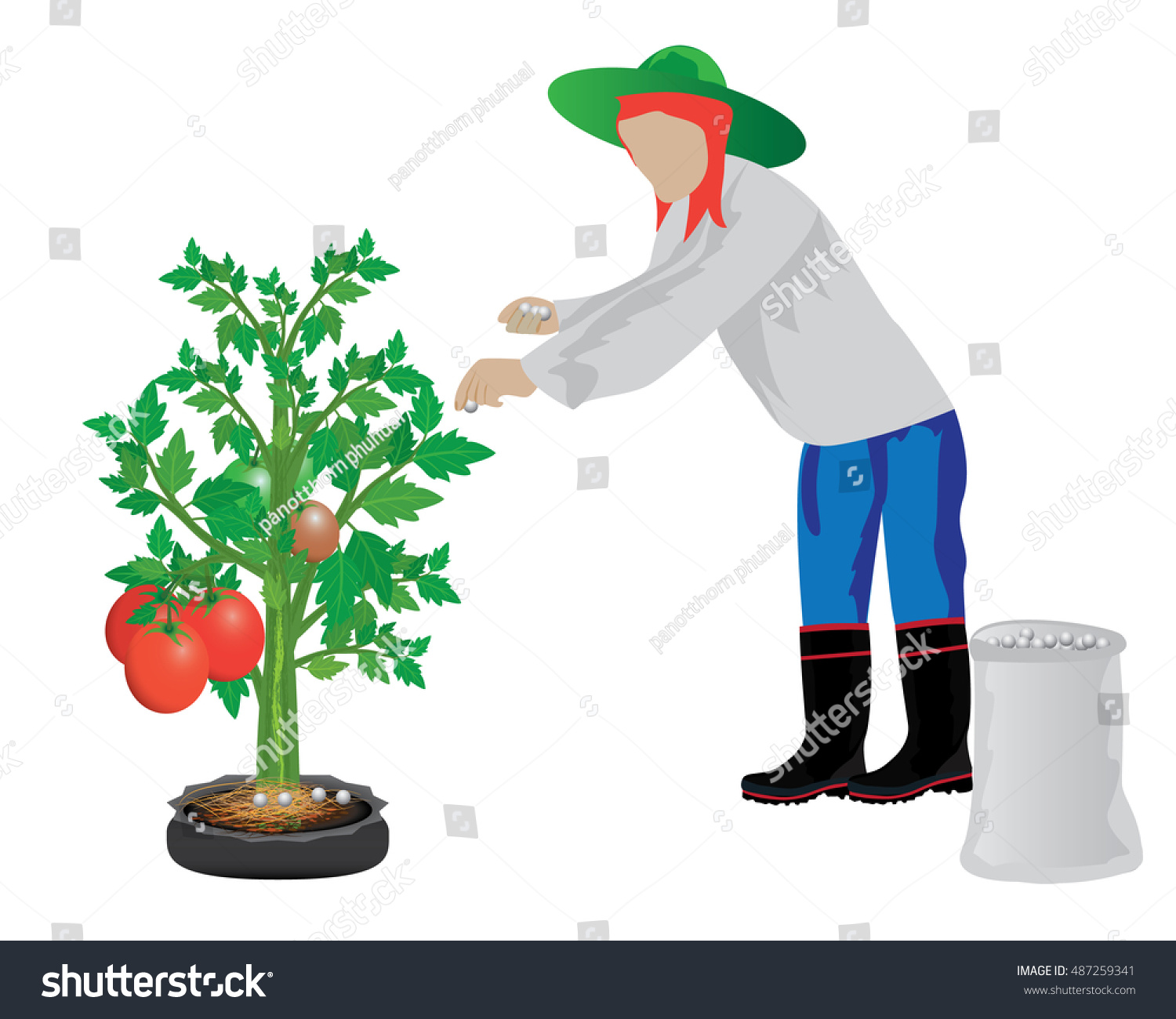 Agriculturist Manure Tomato Plant Vector Design Stock Vector Royalty