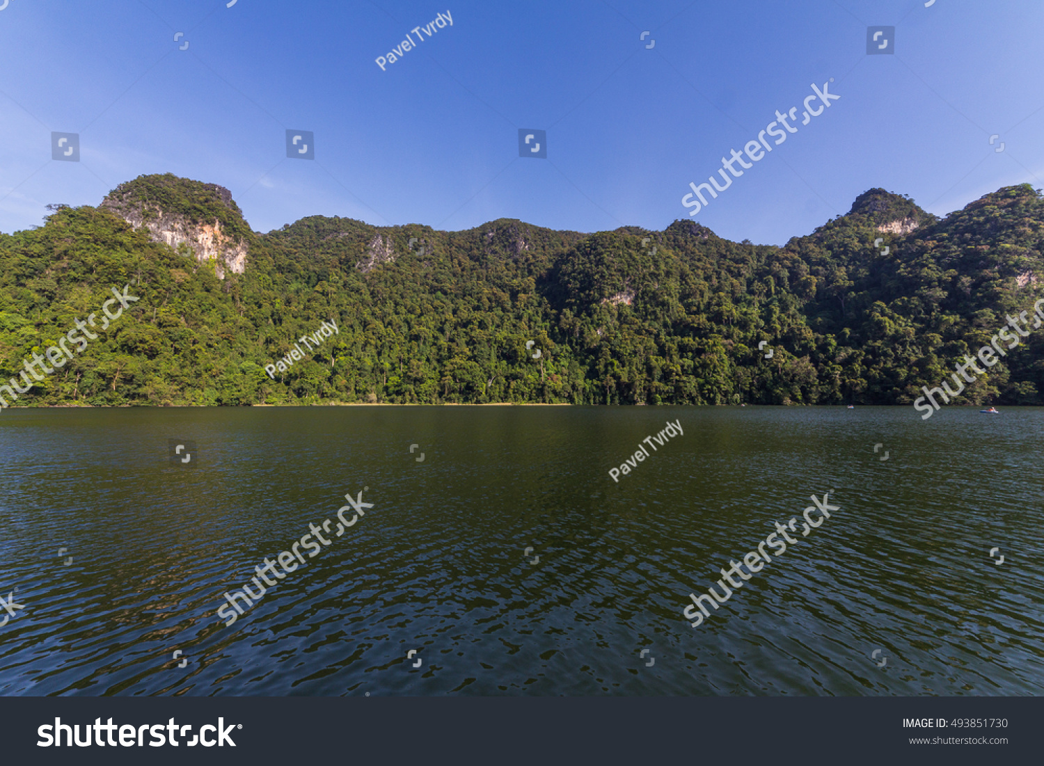 Dayang Bunting Marble Geoforest Park Langkawi Stock Photo 493851730