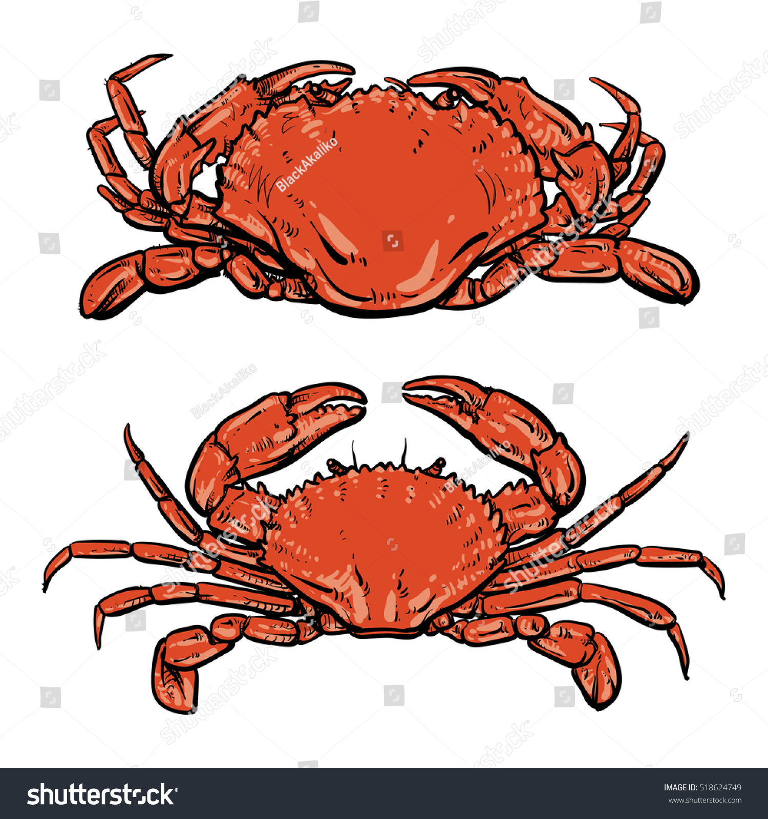 Crab Drawing On White Background Hand Stock Vector Royalty Free