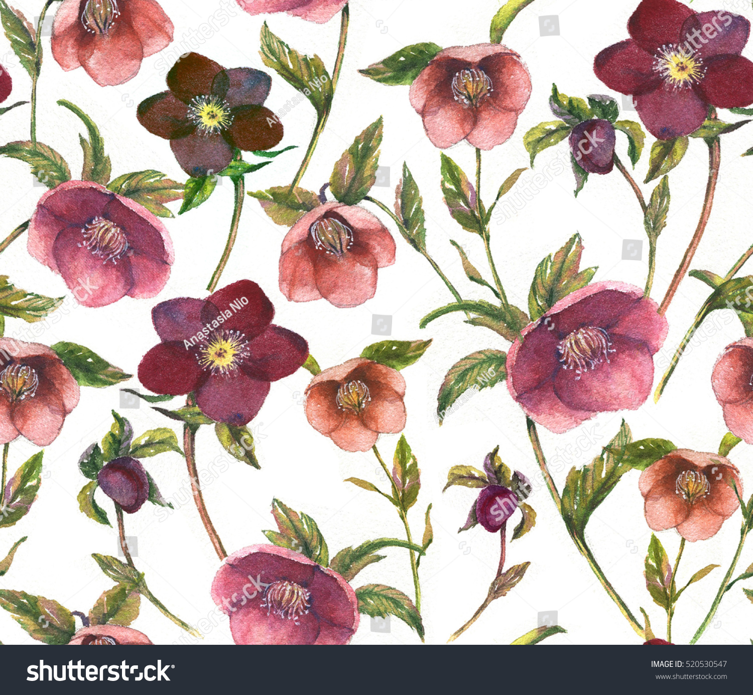 1 069 Helleborus Pattern Images Stock Photos Vectors Shutterstock