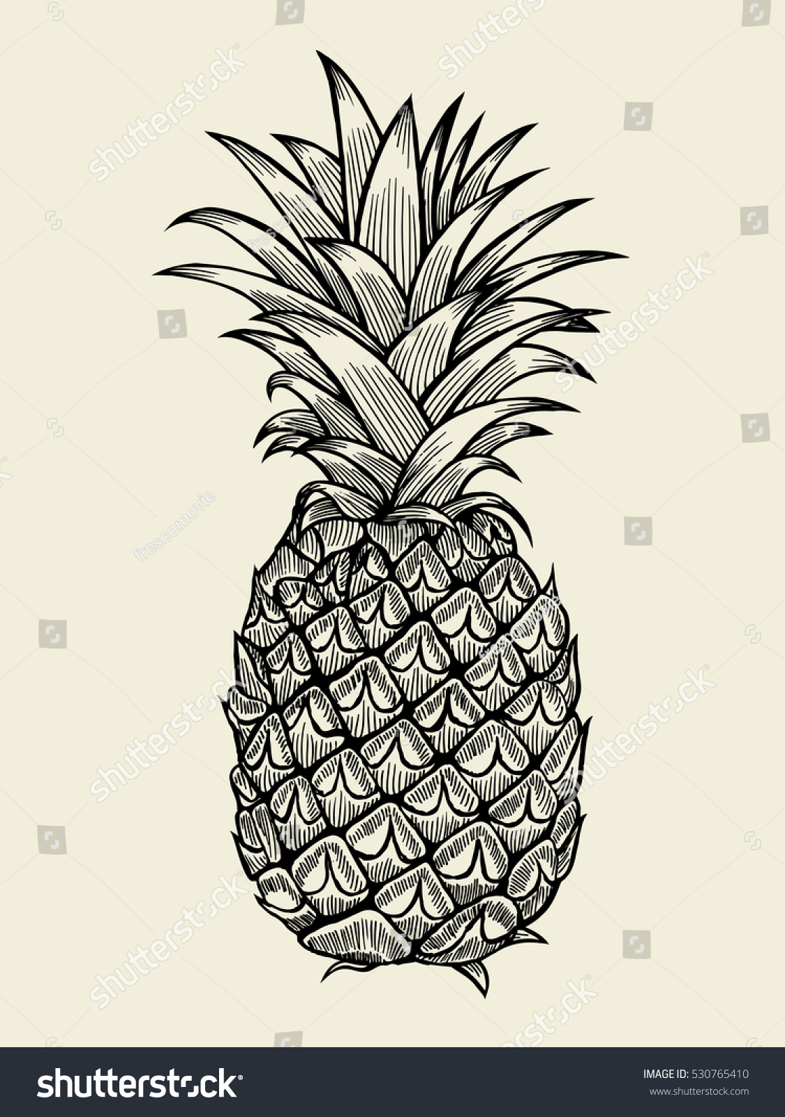 Pineapplefruit Hand Drawn Vector Sketch On Stock Vector Royalty Free