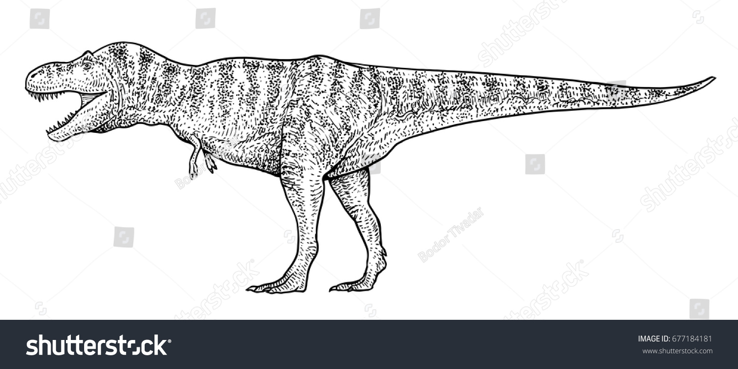 Tyrannosaurus Illustration Drawing Engraving Ink Line Stock Vector