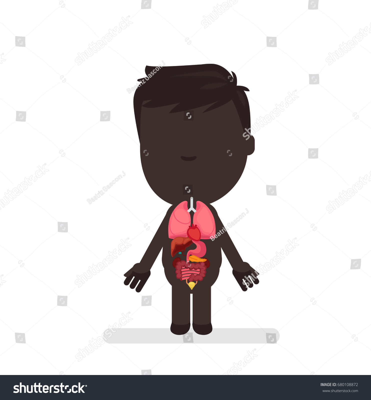 Vektor Stok Human Body Anatomy Vector Illustration Tanpa Royalti