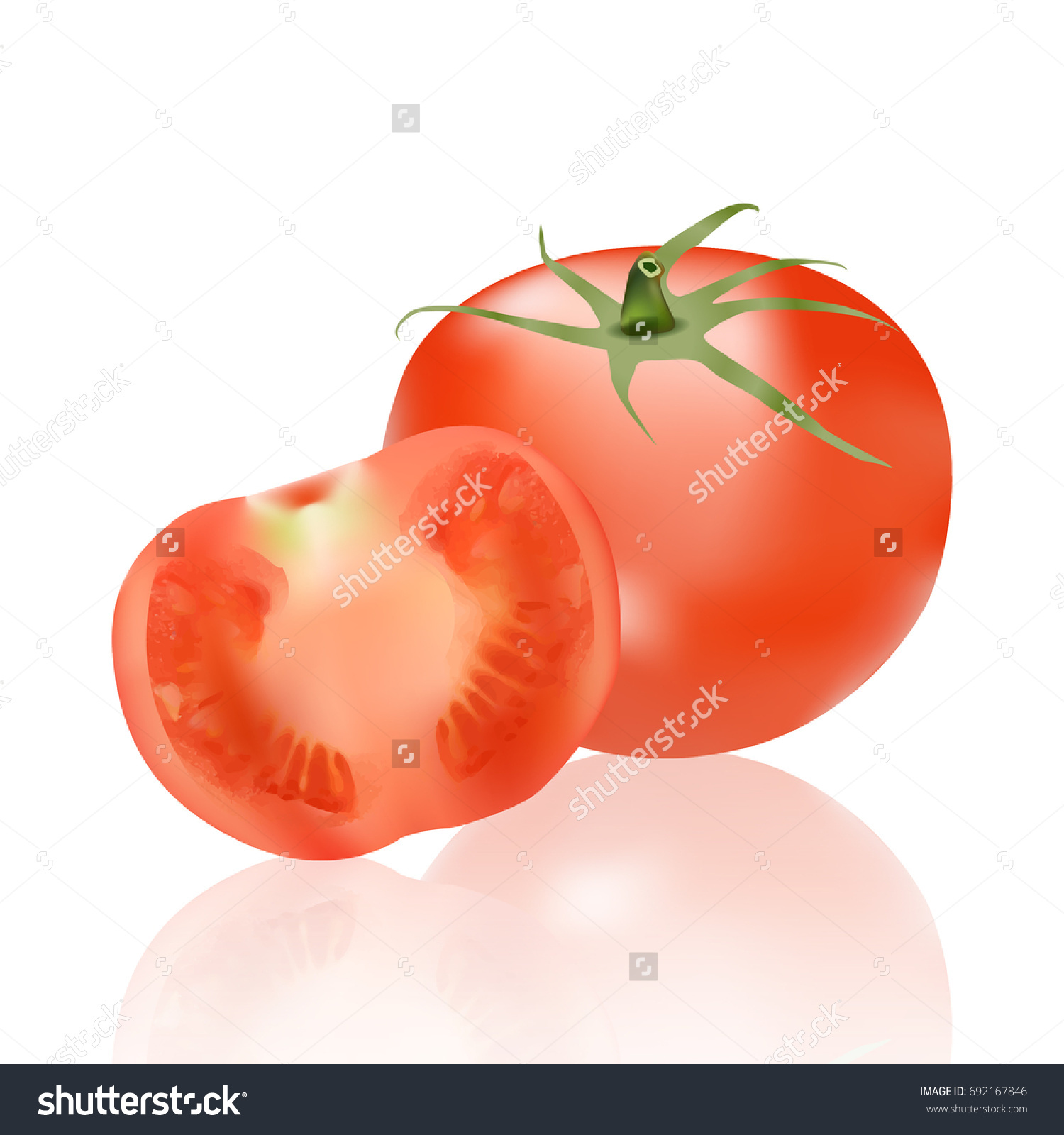 Tomato Vegetable Icon Collection Different Tomatoes Stock Vector