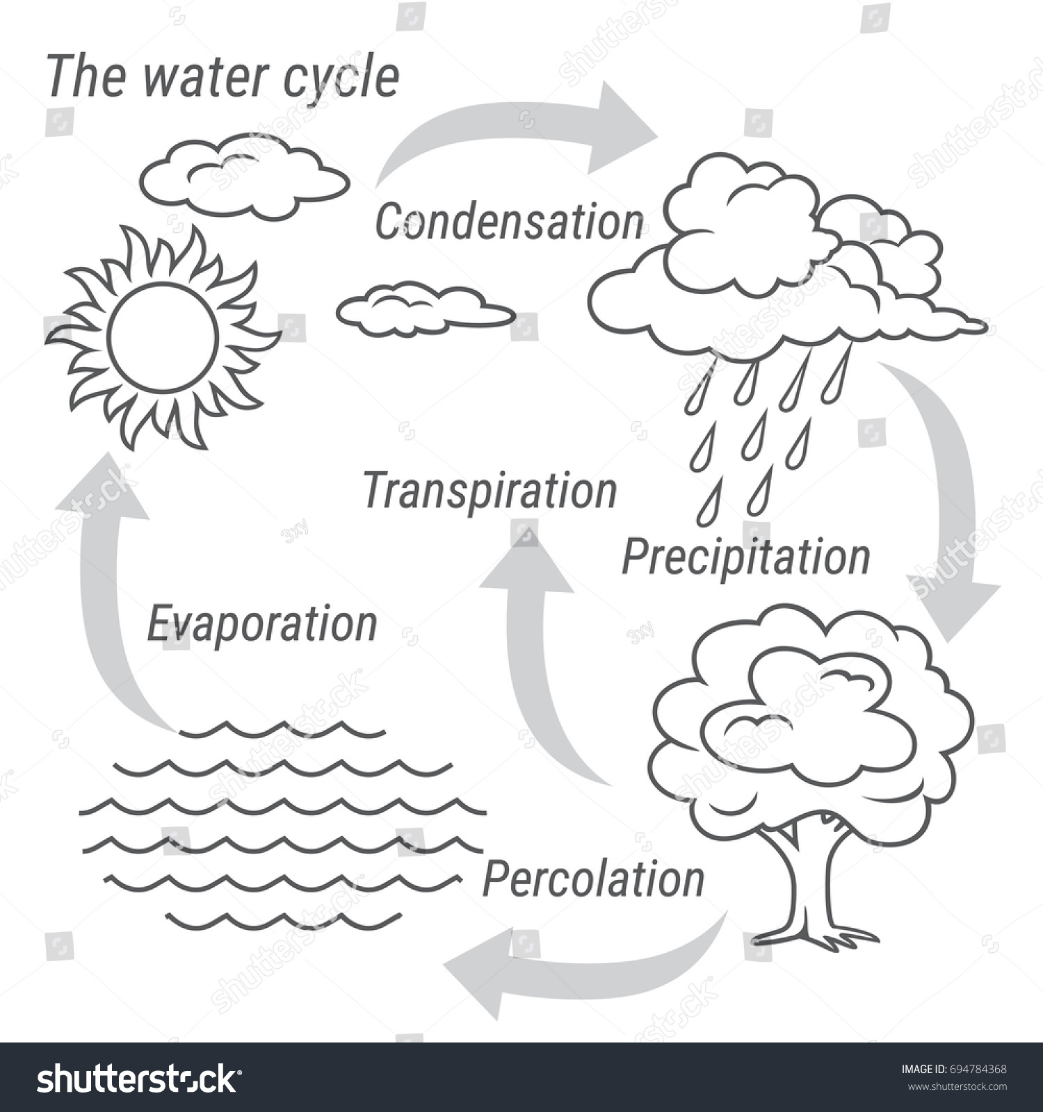 Vector Schematic Representation Water Cycle Nature