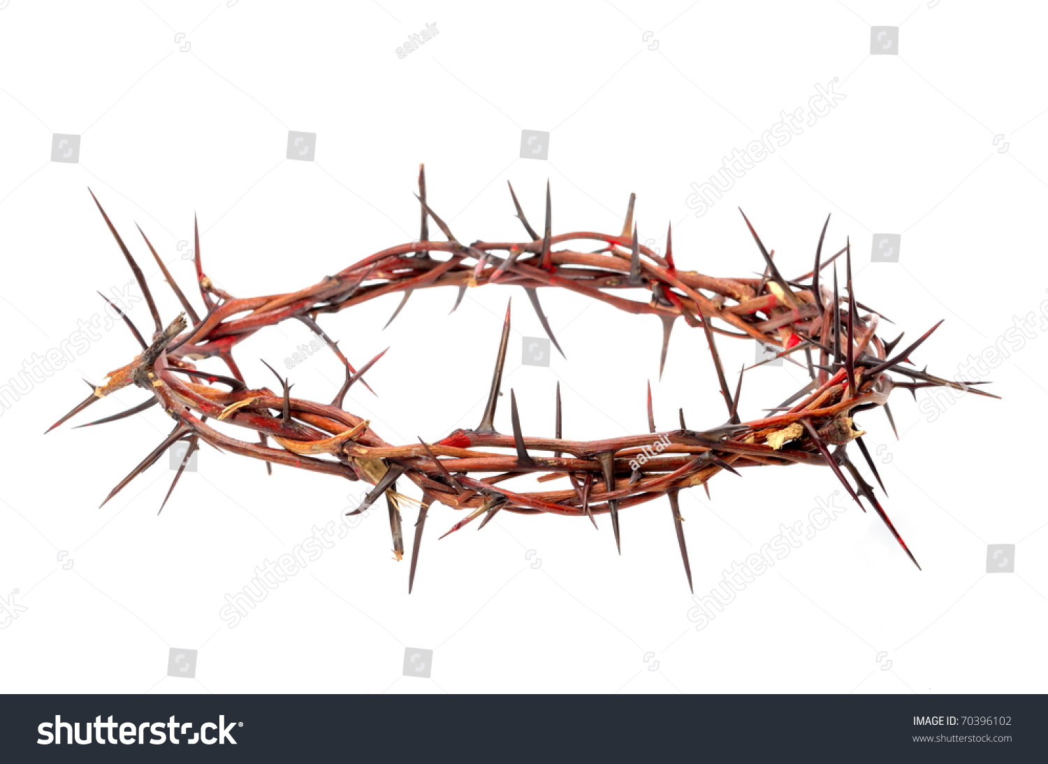 Crown Made Thorns Isolated On White Stock Photo Shutterstock