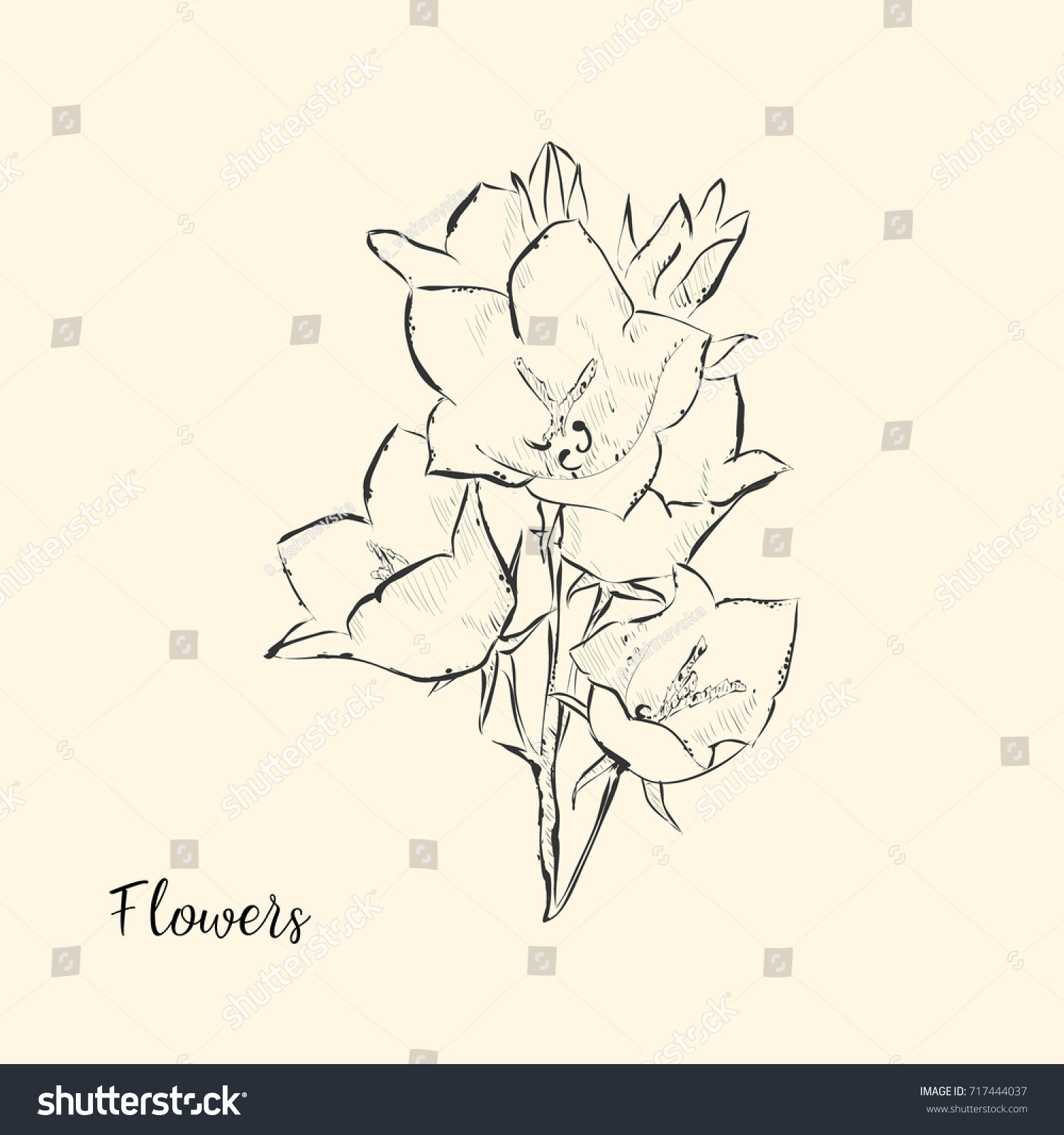 Hand Draw Flower Vector Illustration Sketch Stock Vector Royalty Free