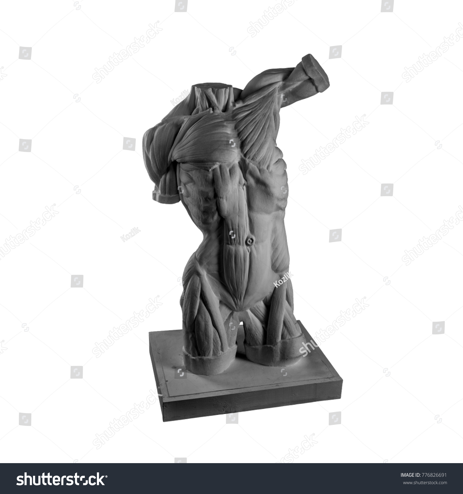 Plaster Statue Naked Man Torso Anatomical Stock Photo