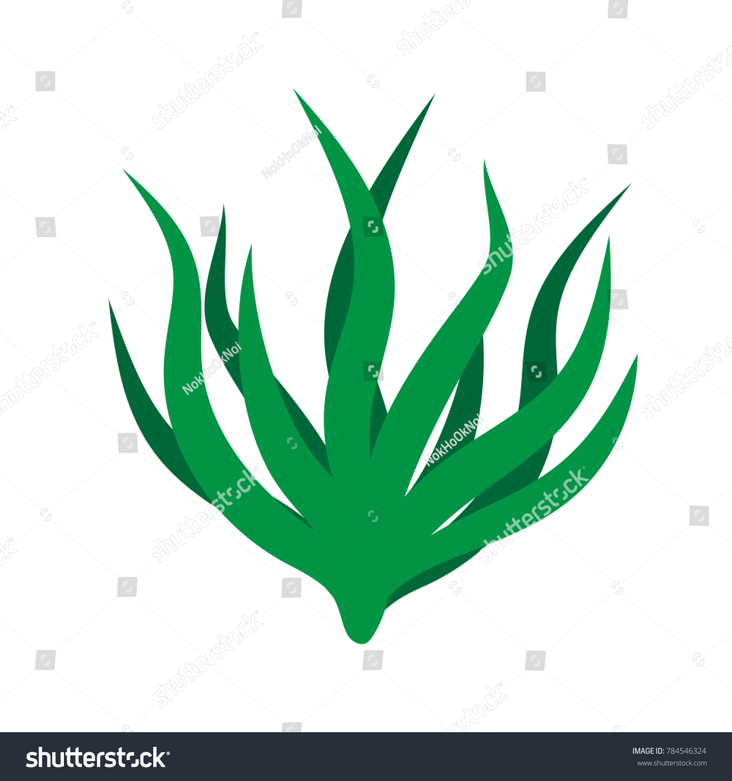 Green Algae Isolated Illustration On White Stock Vector Royalty Free