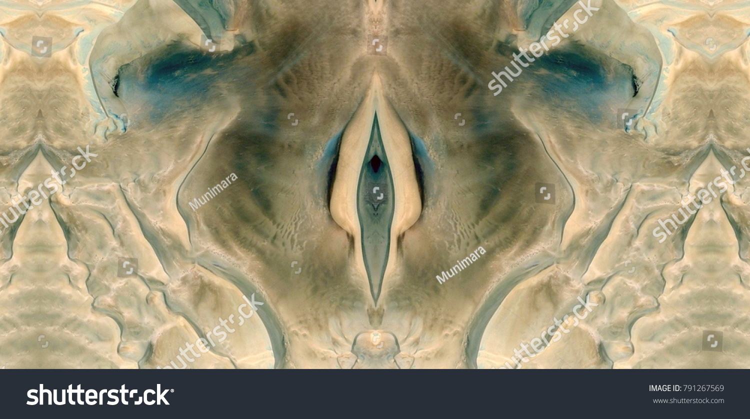 Sex Pussy Vulva Clitoris Vagina Orgasm Stock Photo Shutterstock