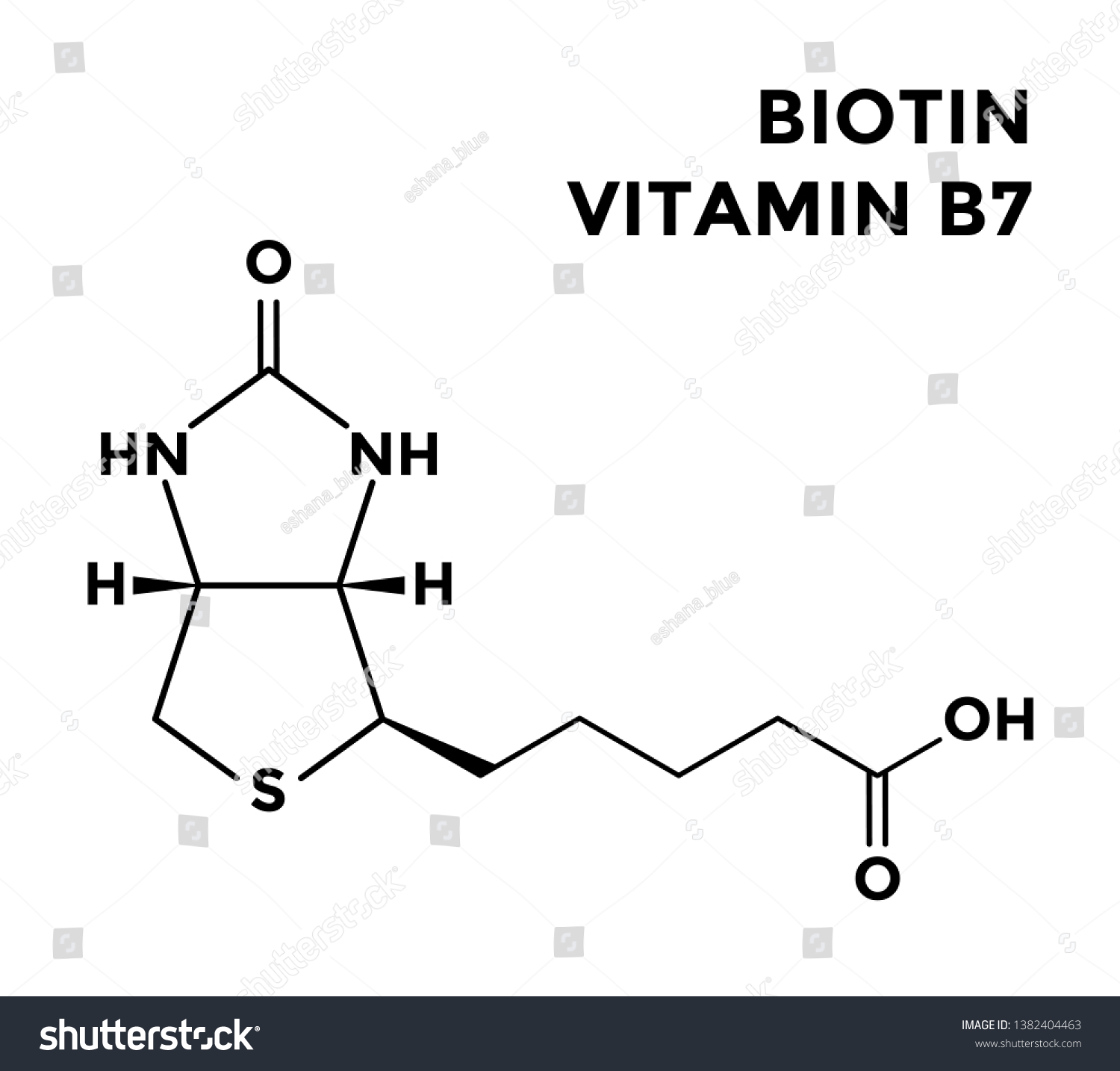 Vitamin B7 Biotin Structural Chemical Formula Royalty Free Stock