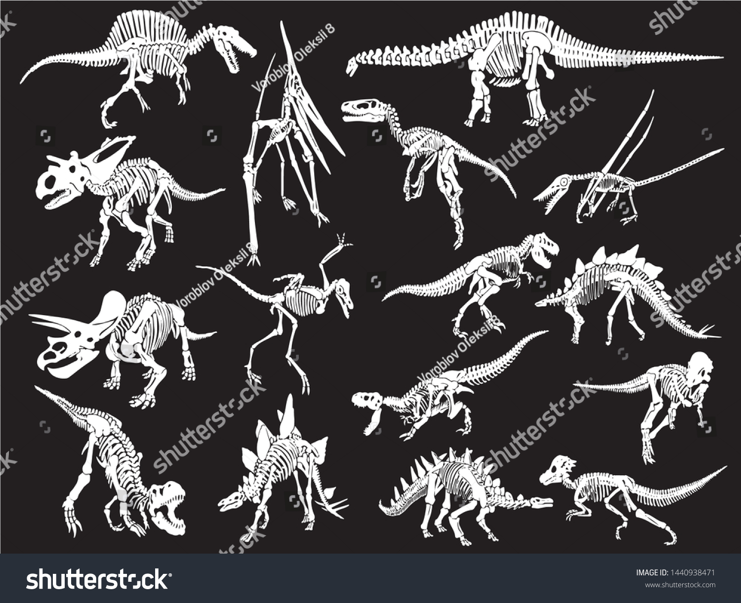 Graphical Set Of Dinosaur Skeletons Isolated On Royalty Free Stock