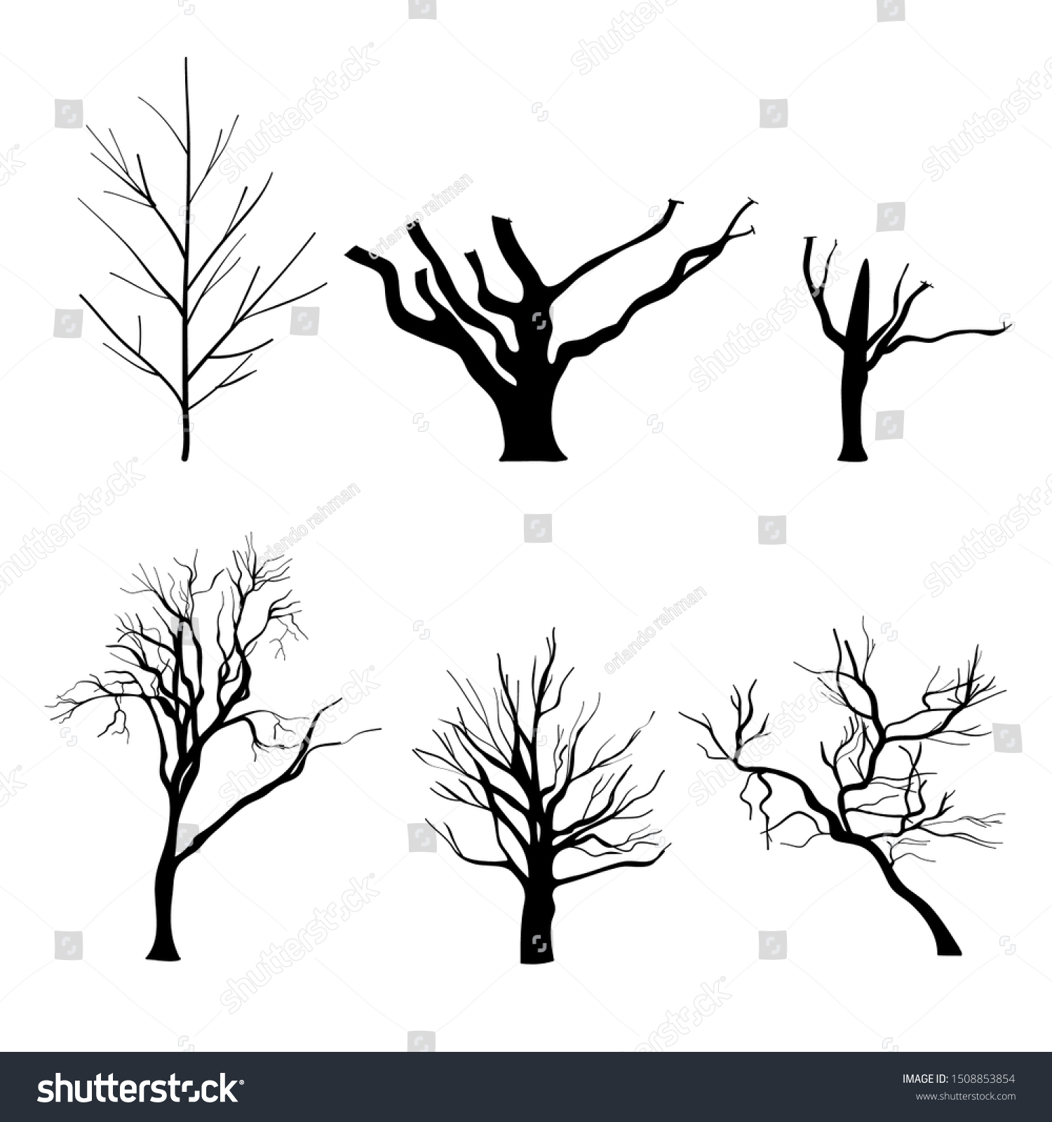 Naked Trees Silhouettes Set Hand Drawn Isolated Royalty Free Stock Vector Avopix