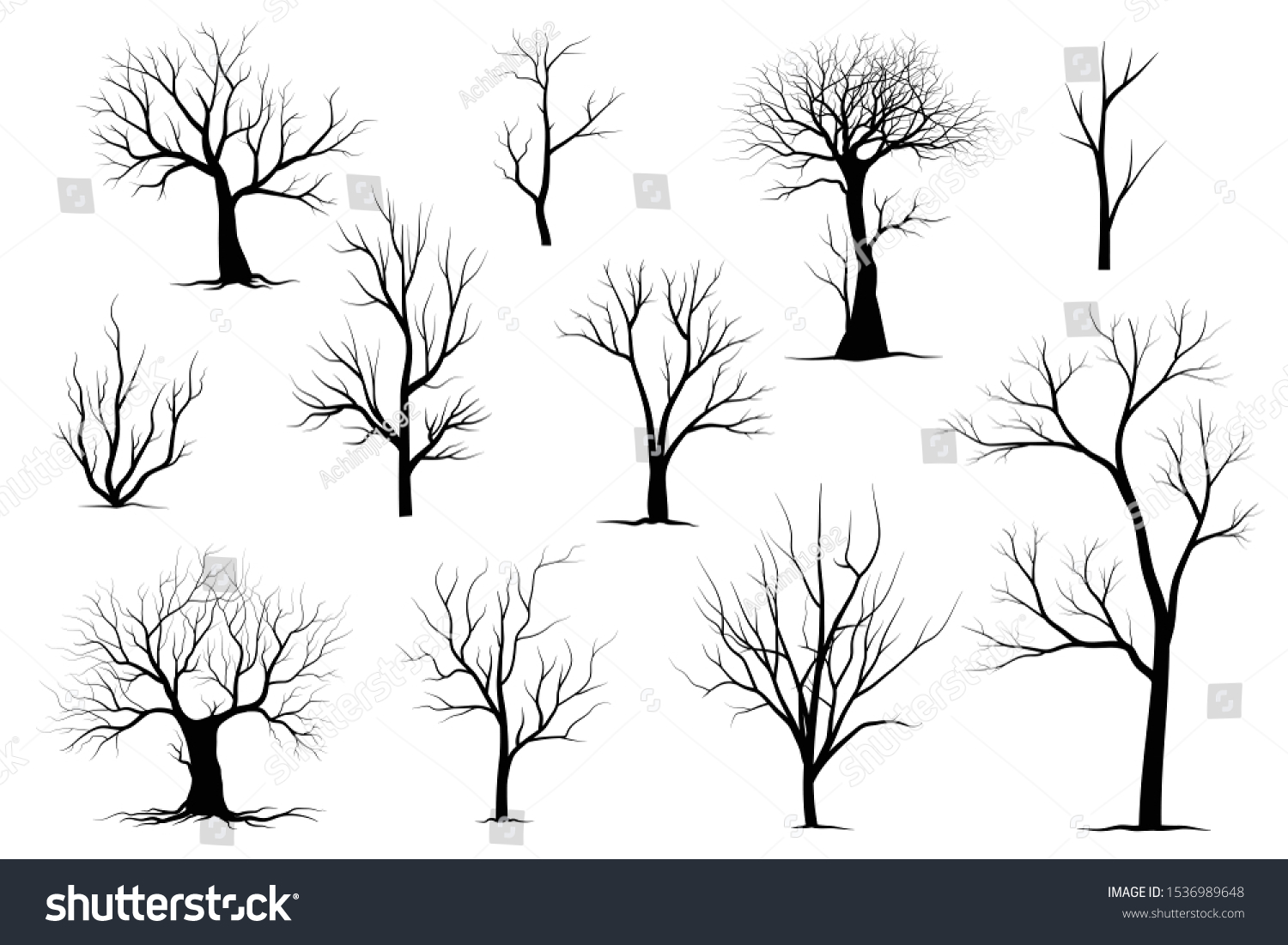 Black Branch Tree Or Naked Trees Silhouettes Set Royalty Free Stock