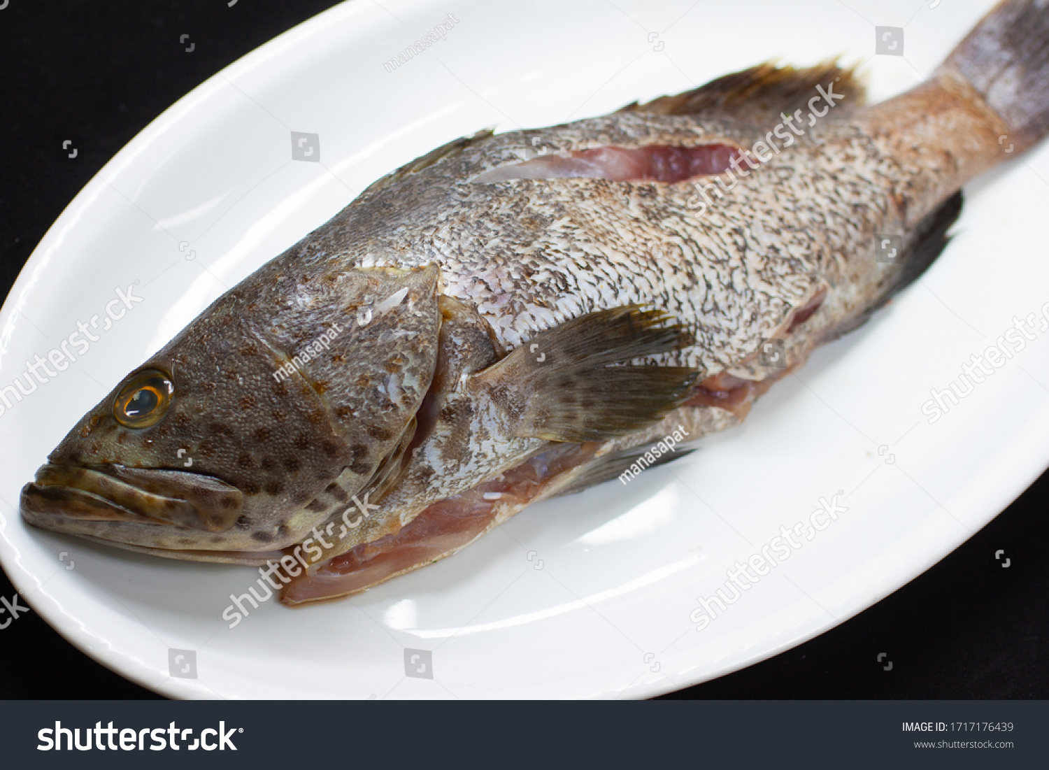 Fish Grouper Fresh Seafood Sea Delicacies Royalty Free Stock Photo