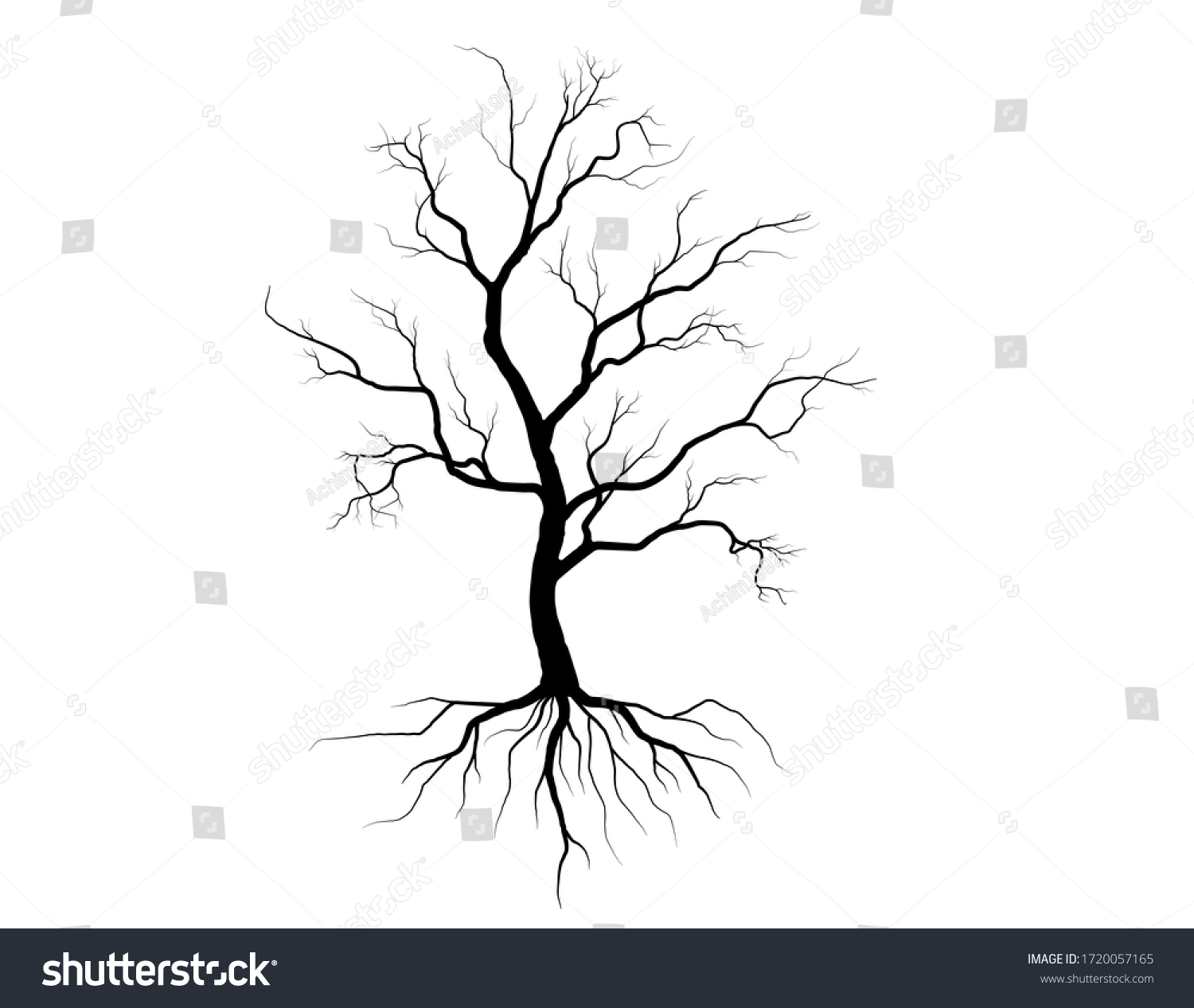 Black Branch Tree Or Naked Trees Silhouettes Royalty Free Stock