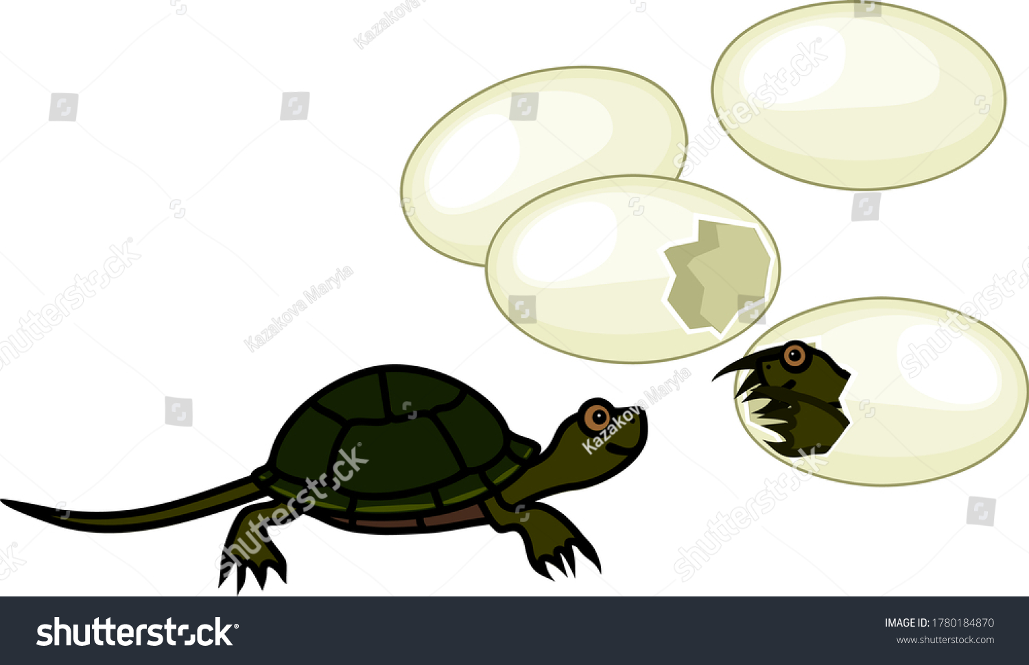 Cute Cartoon European Pond Turtle Hatching Out Royalty Free Stock