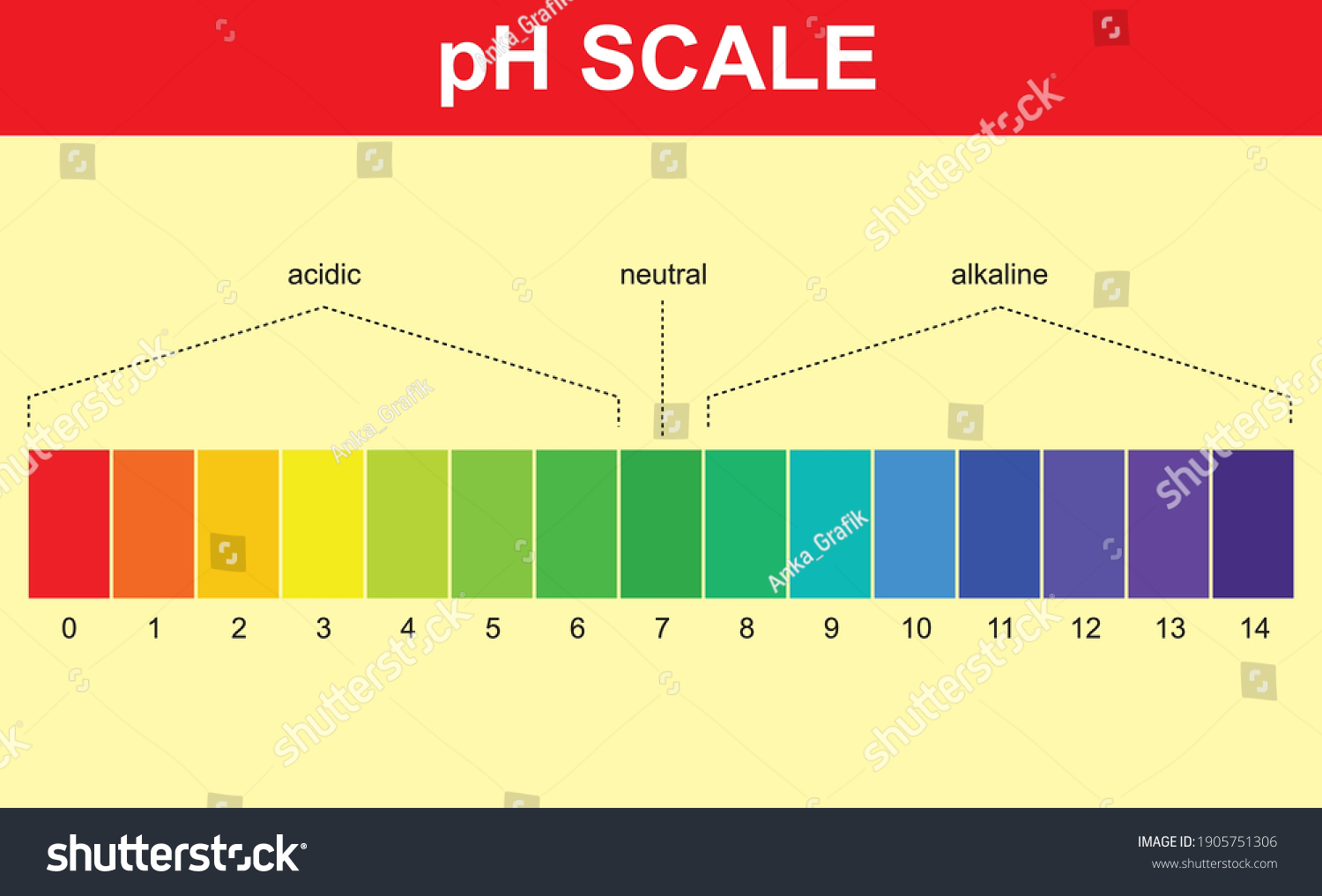 Ph Scale Example Acidic Alkaline Physics Royalty Free Stock Vector