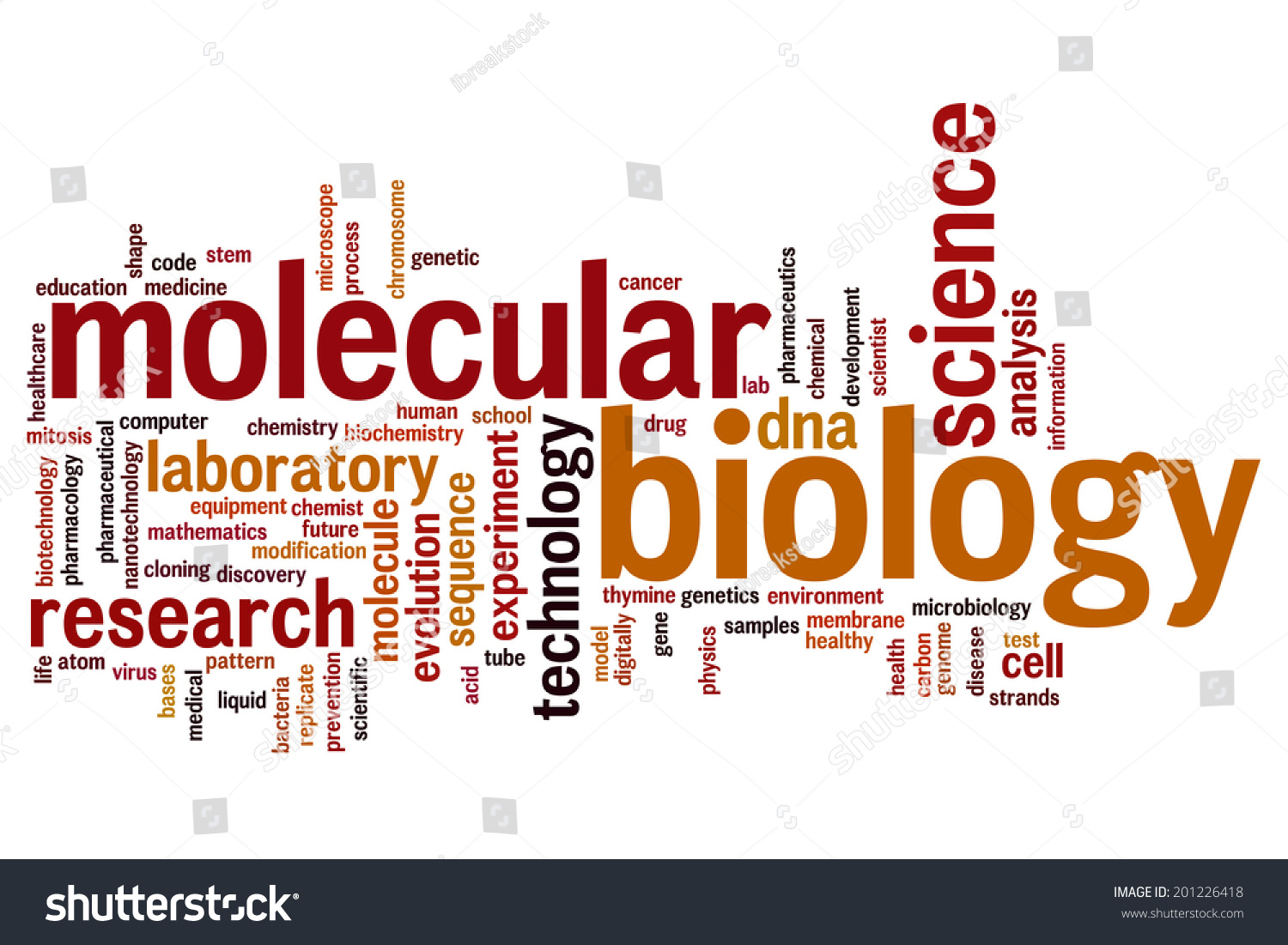 Molecular Biology best bachelor degrees 2017 Molecular Biology best bachelor degrees 2017