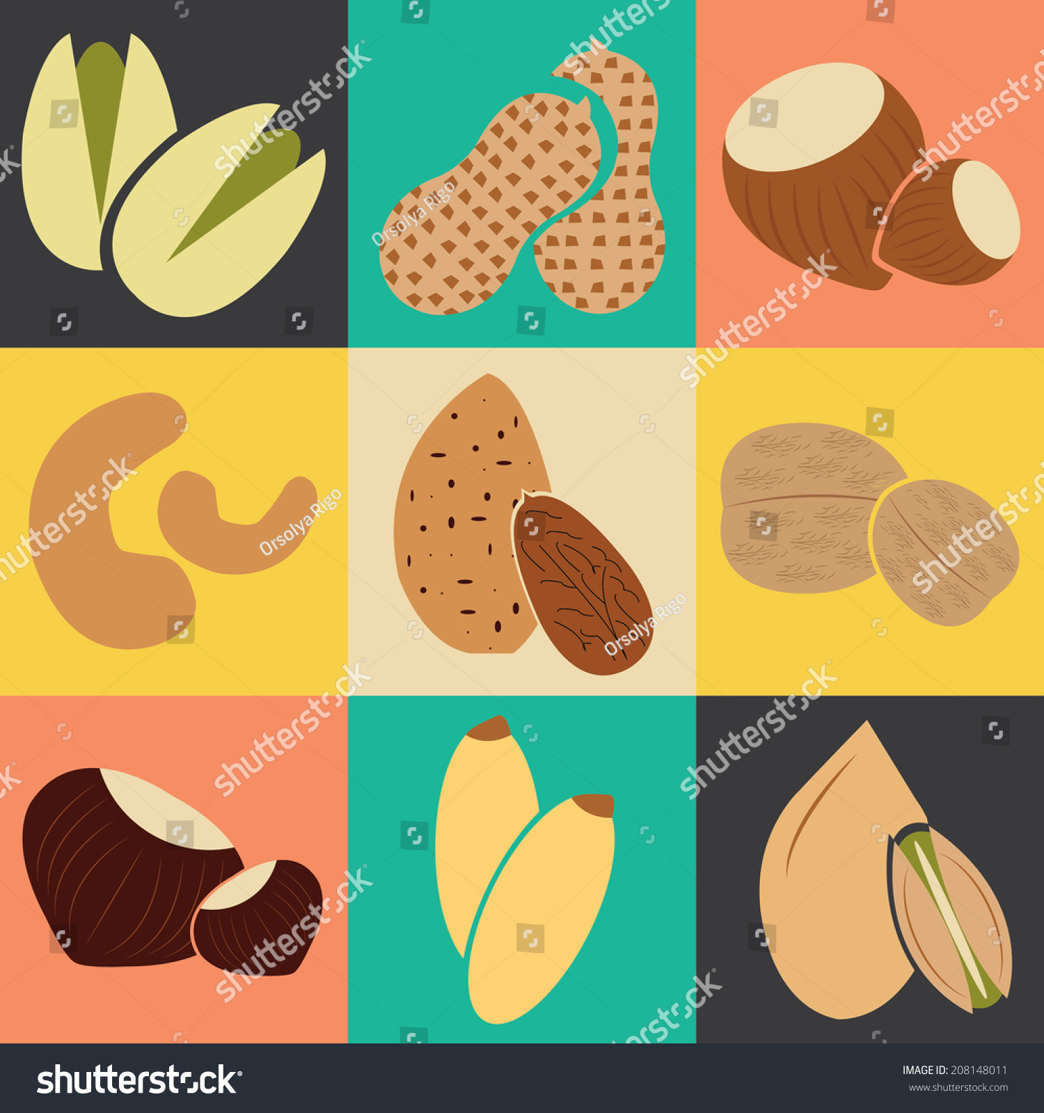 Edible Seeds Nuts And Beans Collection Vector Royalty Free Stock