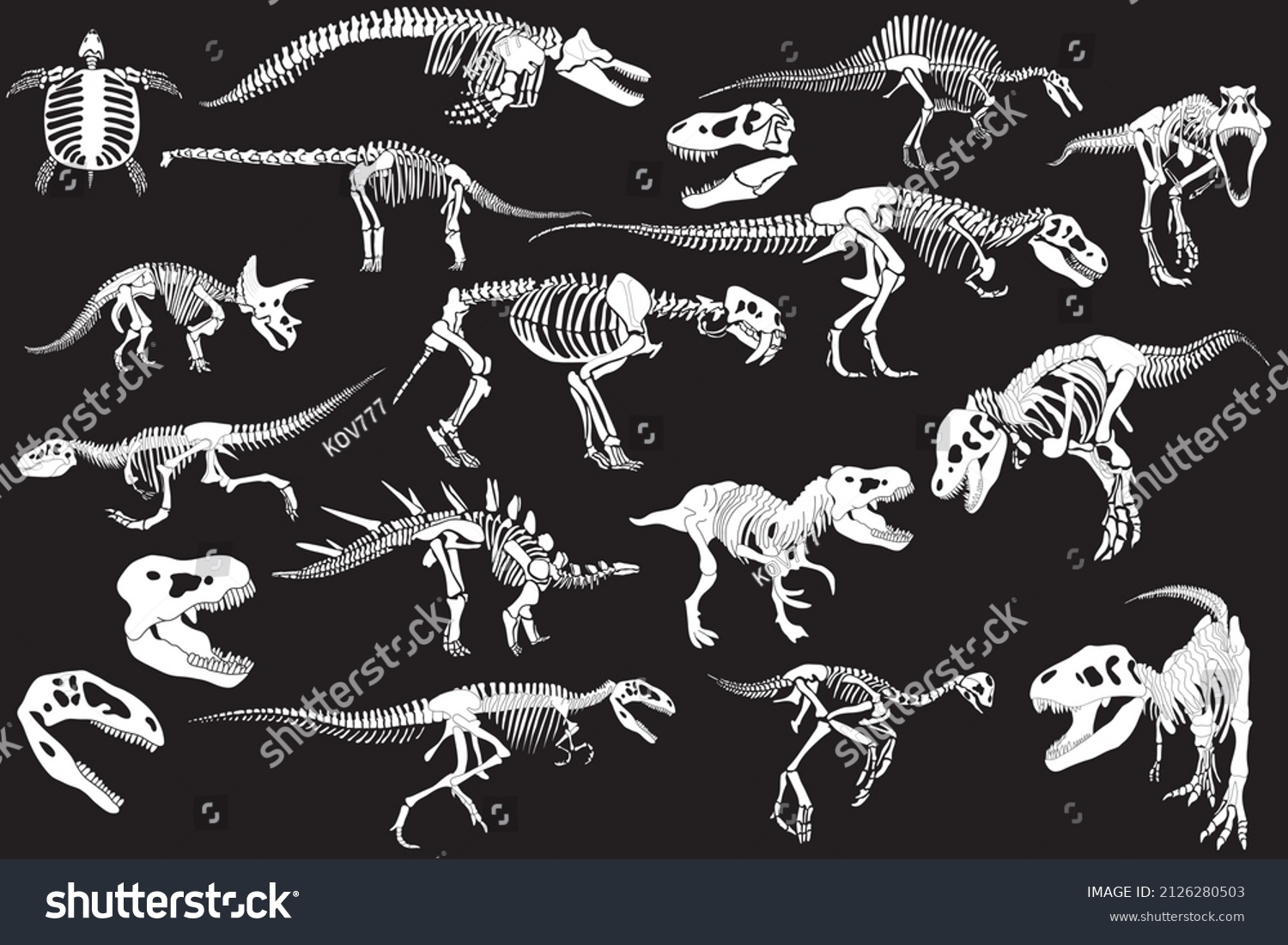 Graphical Set Of Dinosaur Skeletons Isolated On Royalty Free Stock