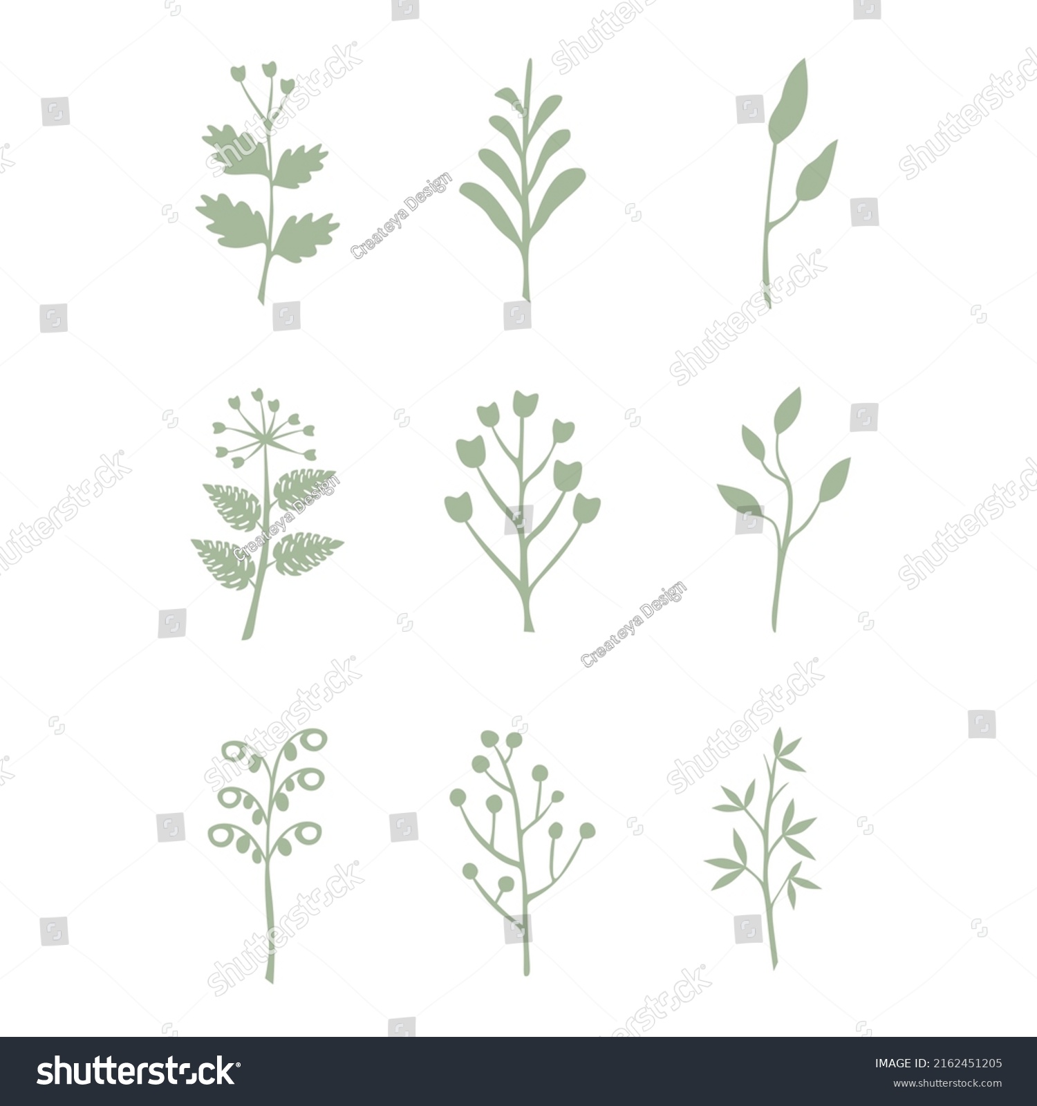 Leaves Vector Set Isolated From The Background Royalty Free Stock