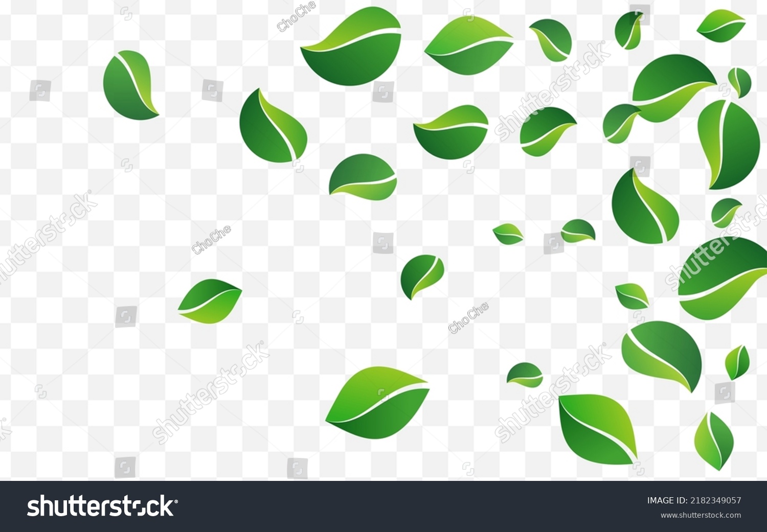 Swamp Leaves Tree Vector Transparent Background Royalty Free Stock