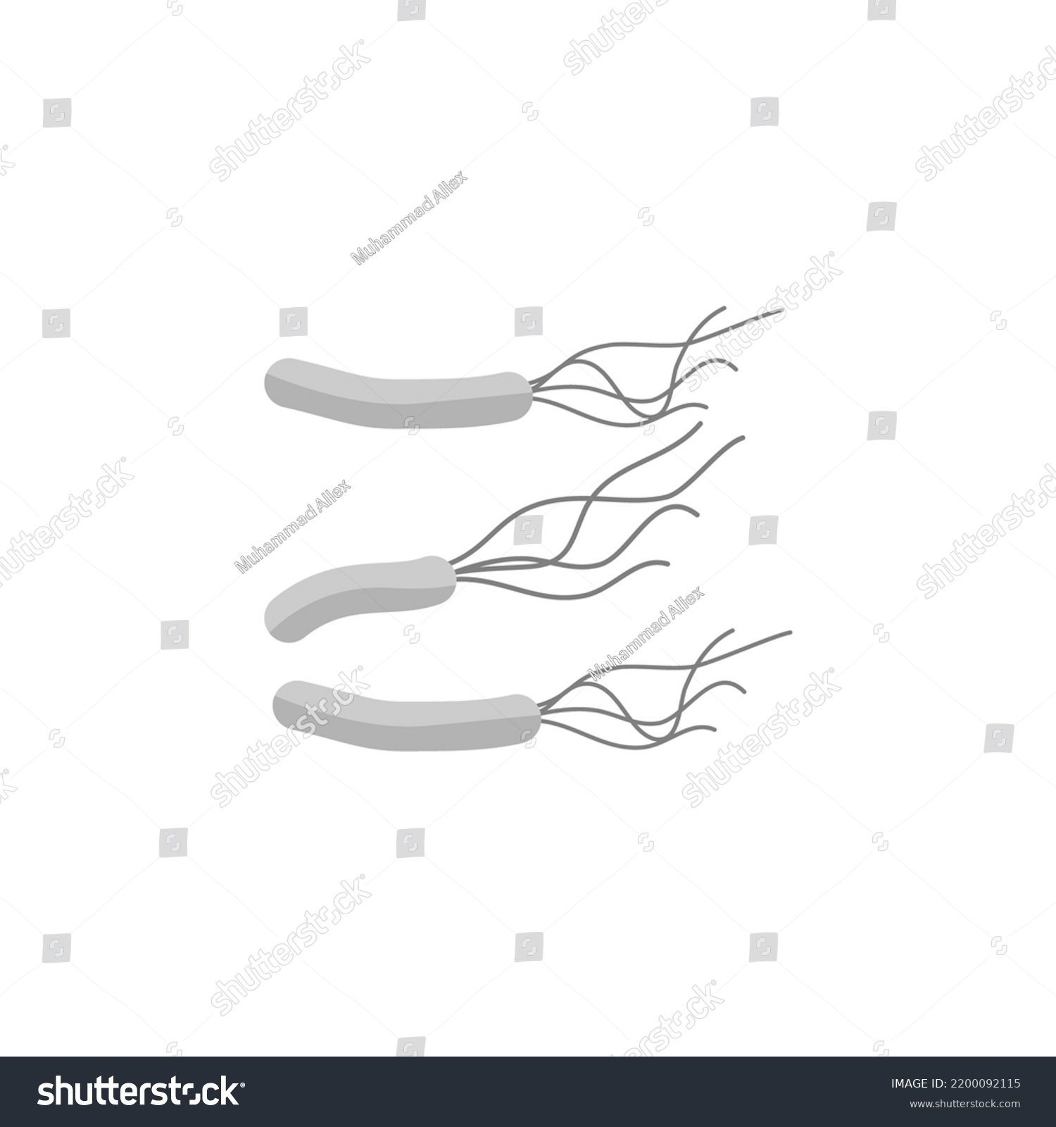 Helicobacter Pylori Icon Bacteria Illustration Royalty Free Stock