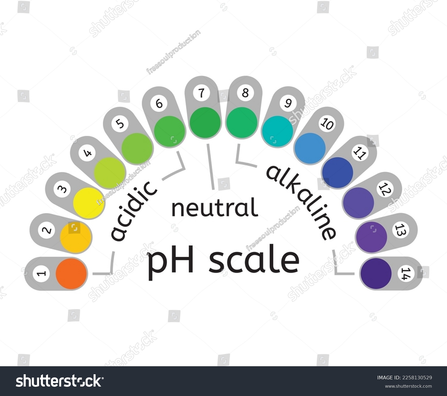 Vector Ph Scale Of Acidic Neutral And Alkaline Royalty Free Stock