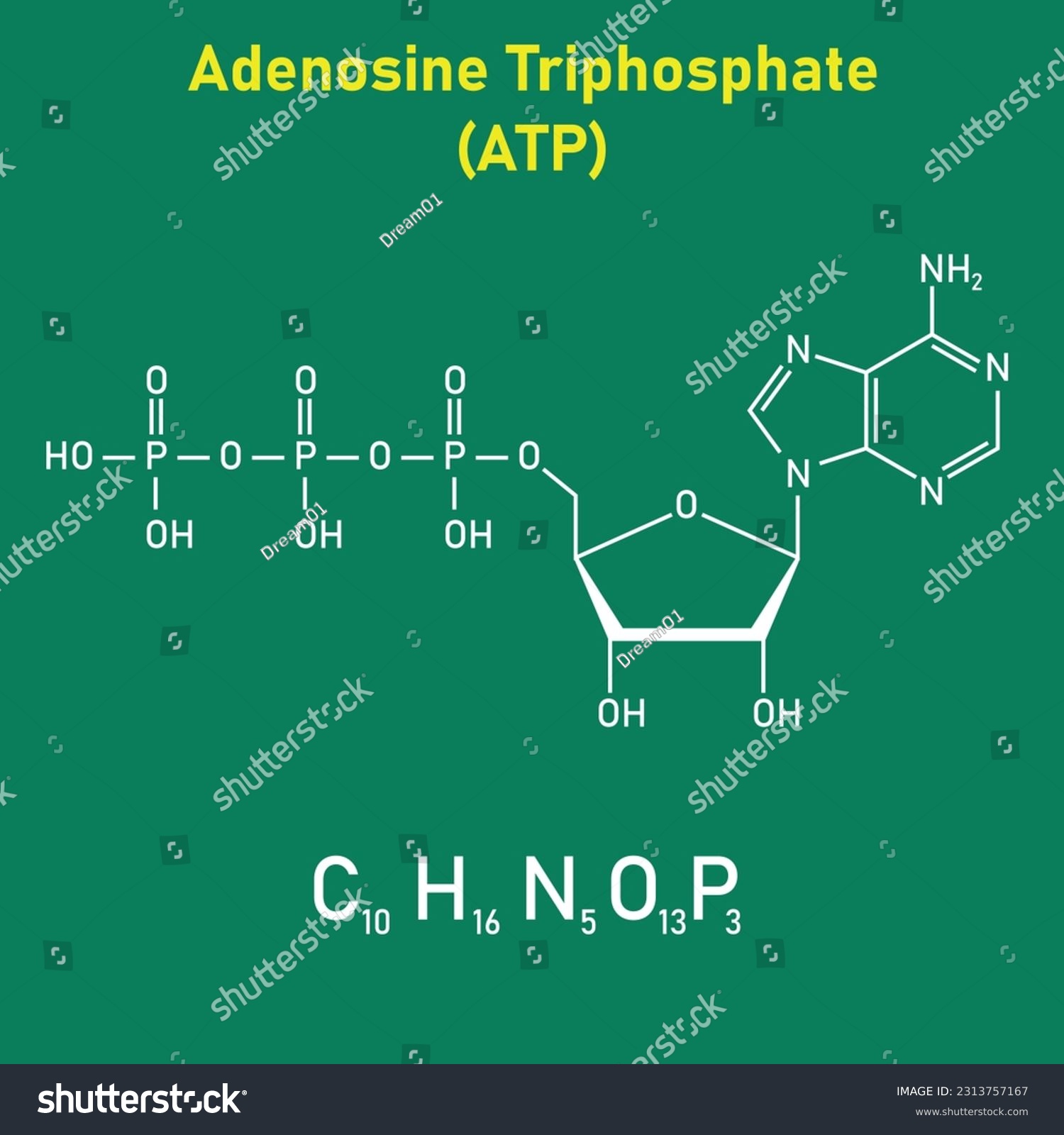 Chemical Structure Of Adenosine Triphosphate Royalty Free Stock