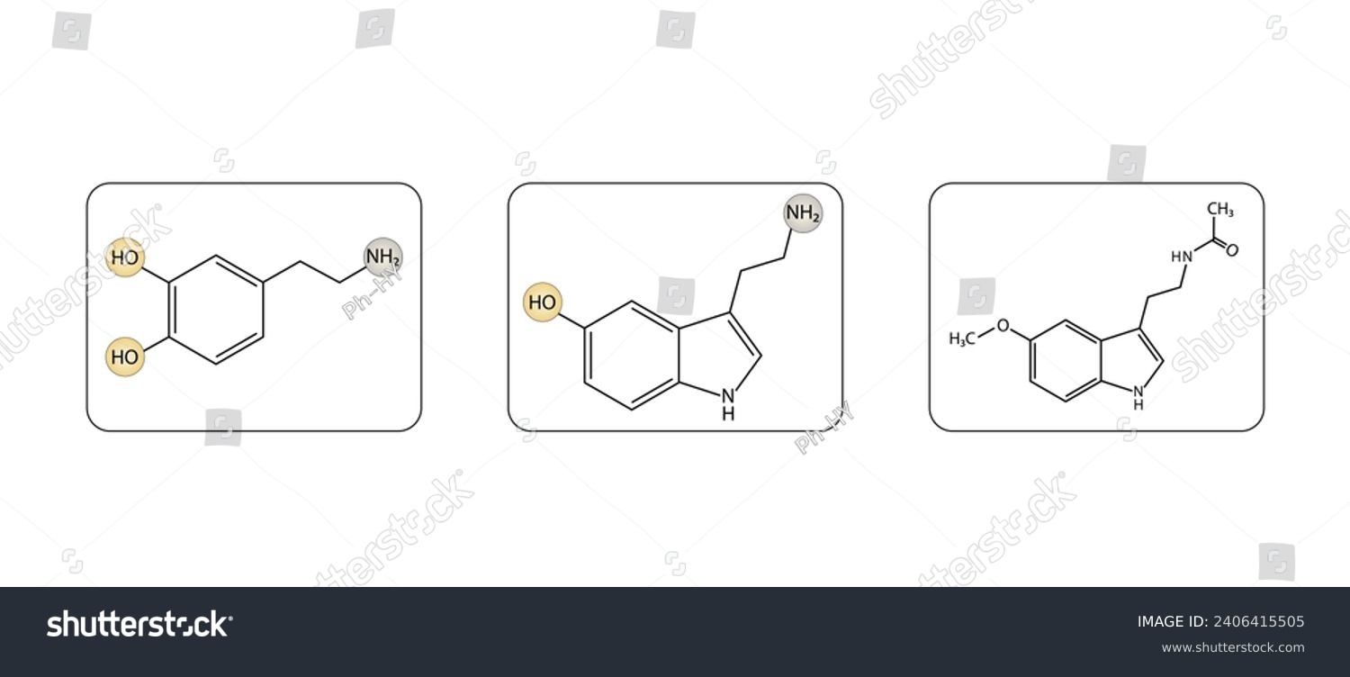 Dopamine Serotonin And Melatonin Structural Royalty Free Stock