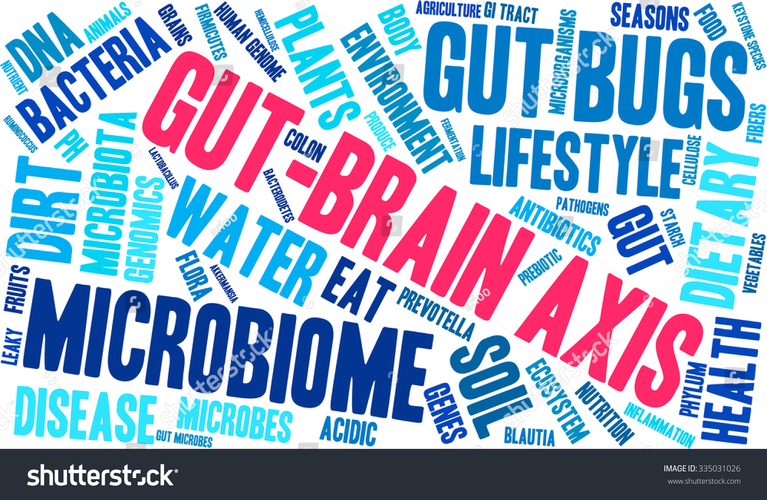 Gut Brain Axis Word Cloud On A White Background Royalty Free Stock