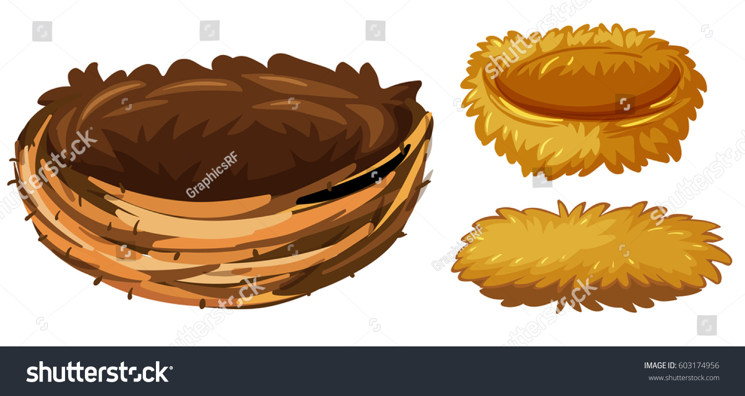 Three Different Types Of Bird Nests Illustration Royalty Free Stock