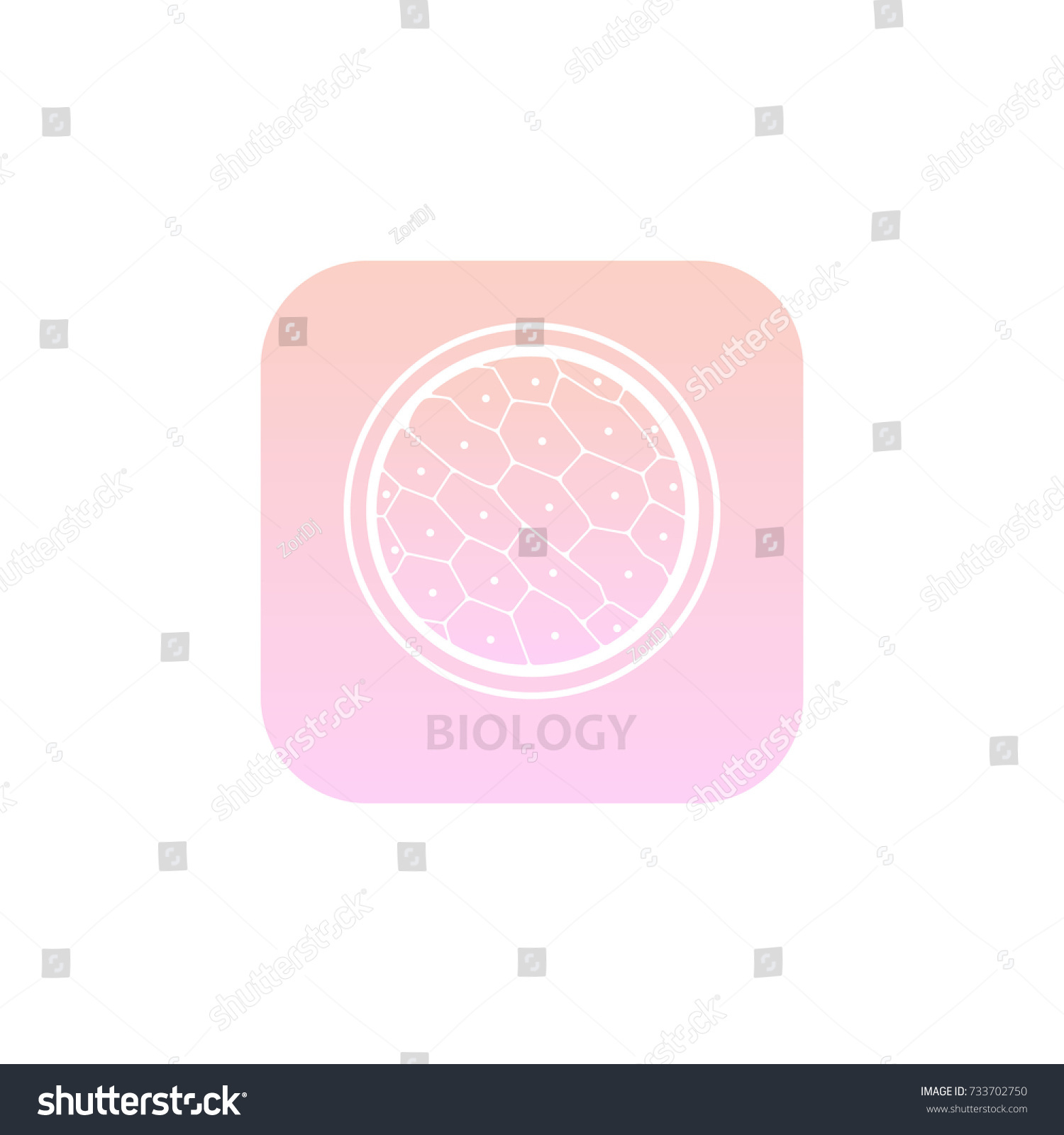 Chlorophyll Plant Cells Under The Microscope Royalty Free Stock