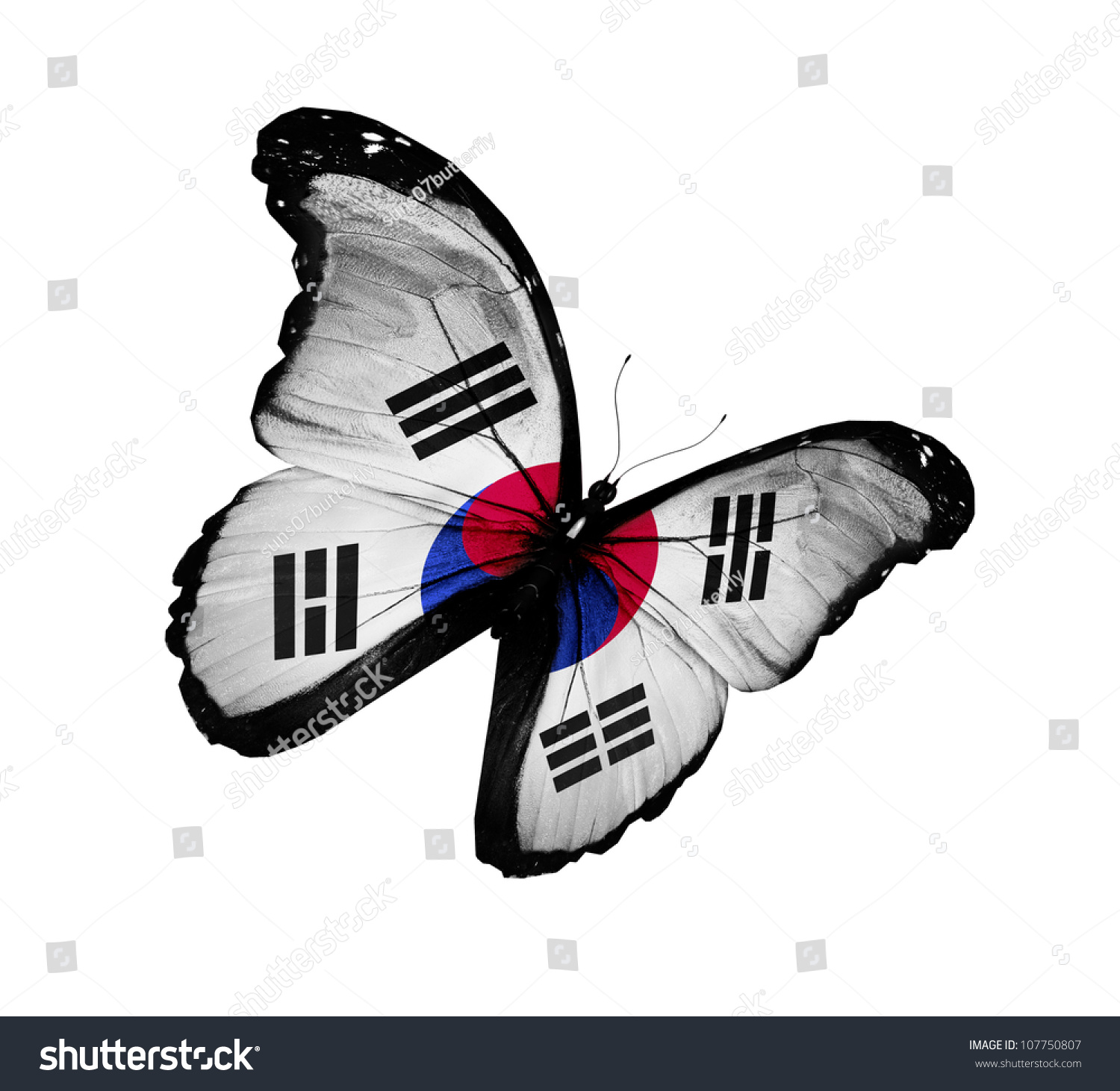 online image amp photo editor shutterstock editor online image amp photo editor shutterstock editor