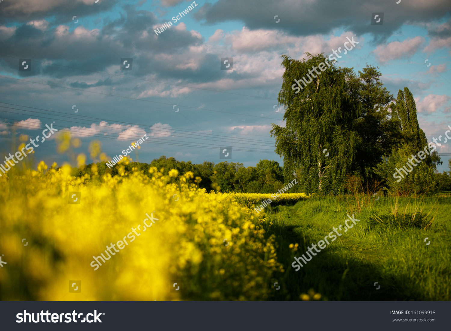 Online foto bewerken tekst 46 Online foto bewerken tekst 69