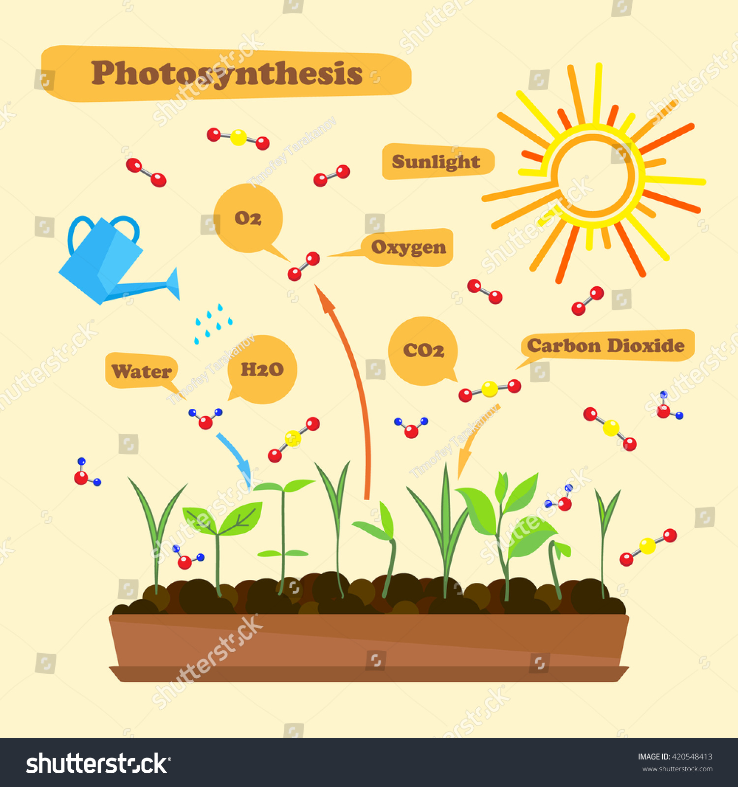 photsynthesis process Photosynthesis photosynthesis is the process by which plants, some bacteria and some protistans use the energy from sunlight to produce glucose from carbon. photsynthesis process Photosynthesis photosynthesis is the process by which plants, some bacteria and some protistans use the energy from sunlight to produce glucose from carbon.