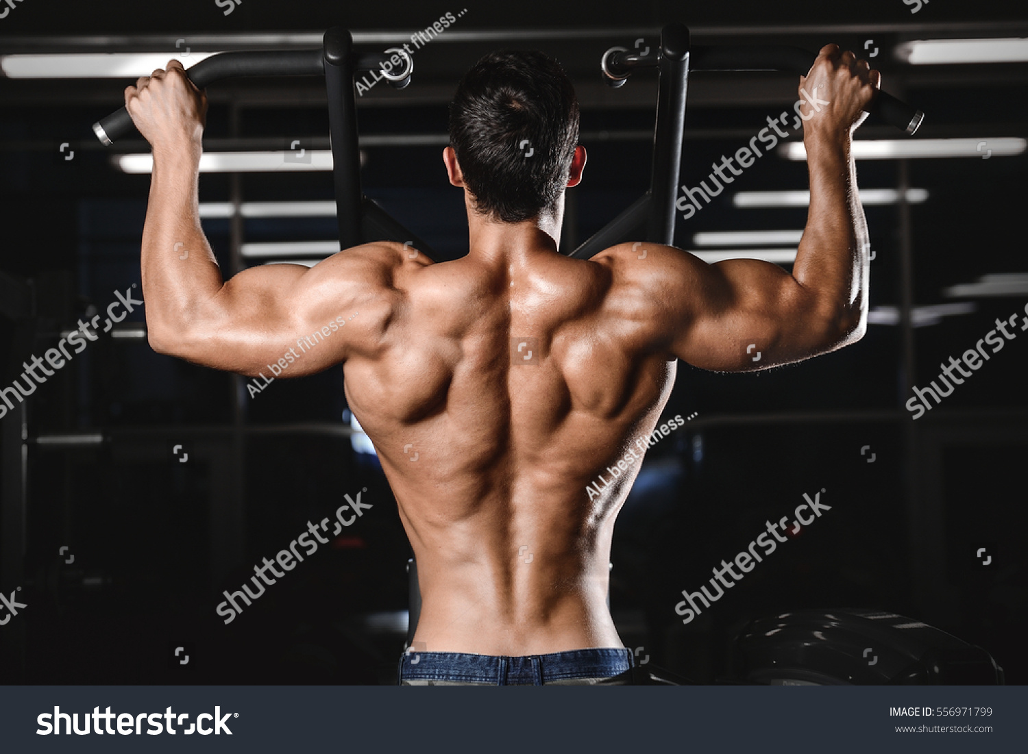 SEARCH AND BUY THIS PRODUCT Online Image & Photo Editor - Shutterstock Editor