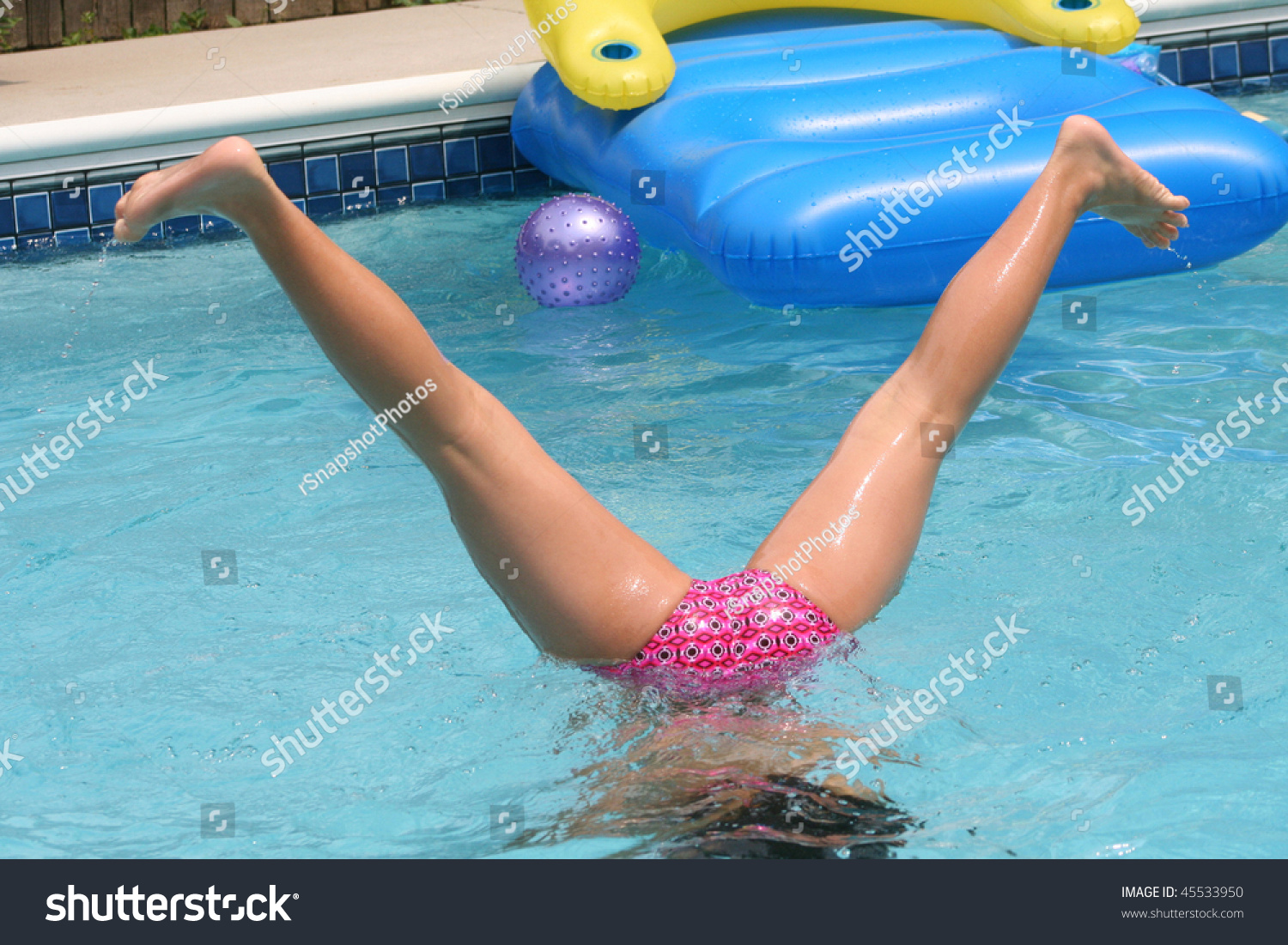 adopt adult english sheep dog majorette naked