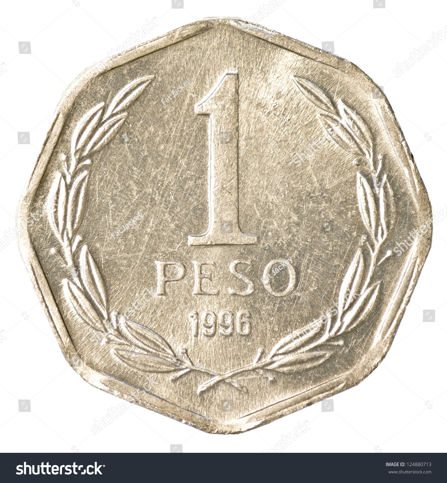 1 Chilean Peso Coin Isolated On White Background Stock Photo 124880713