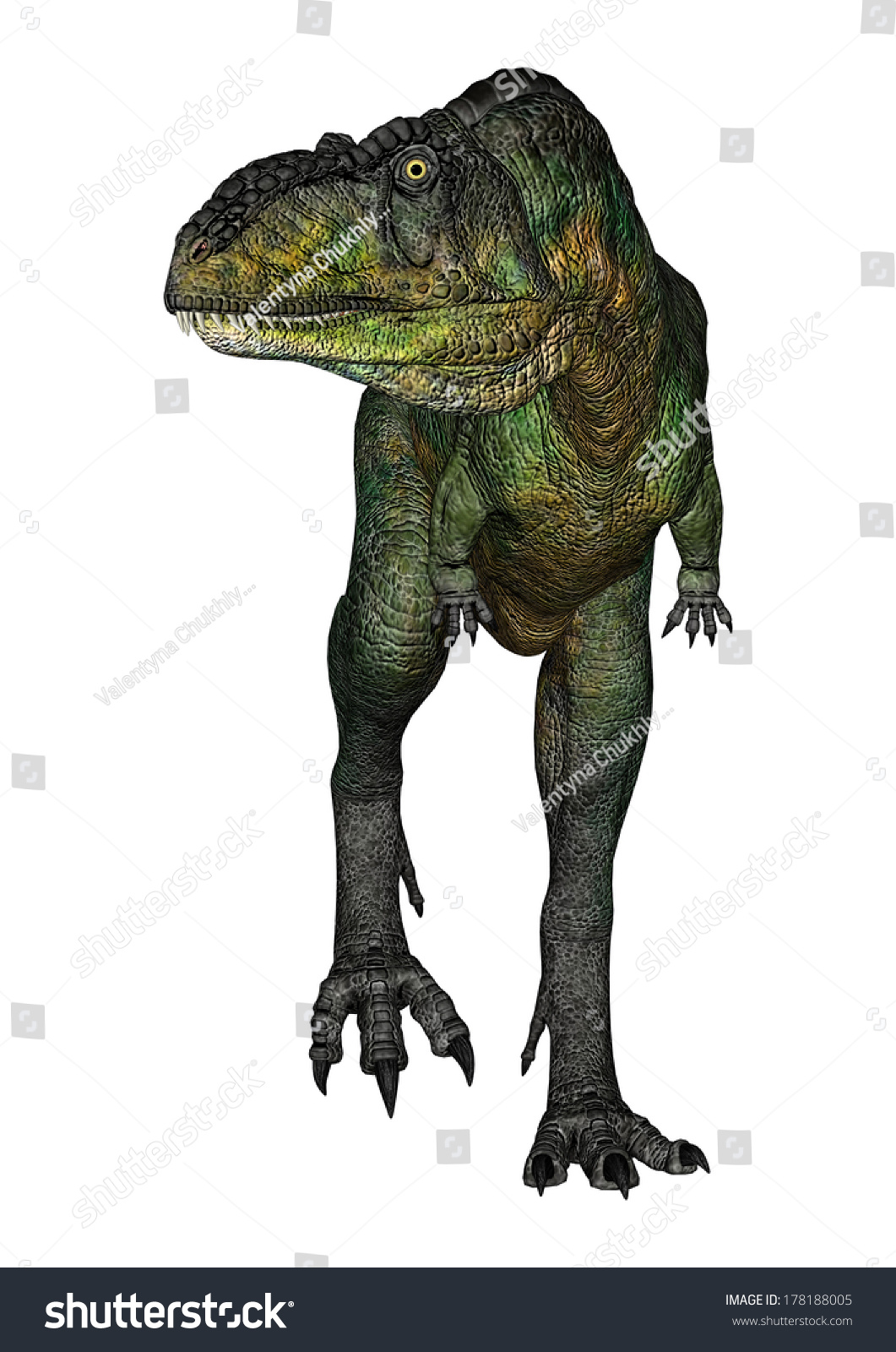 3d Digital Render Walking Dinosaur Aucasaurus Stock Illustration 178188005