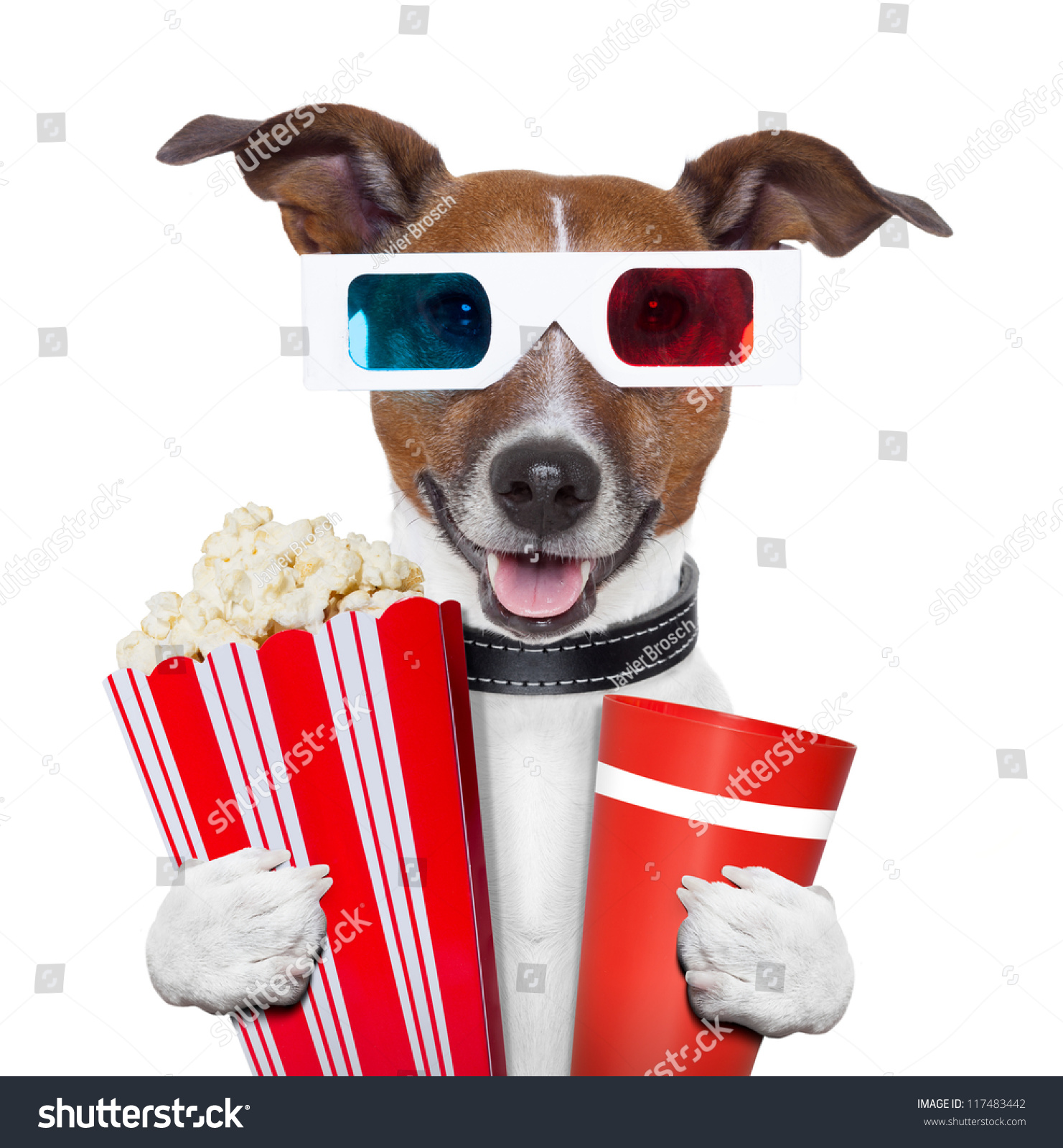 stock-photo--d-glasses-movie-popcorn-dog-watching-a-film-117483442.jpg