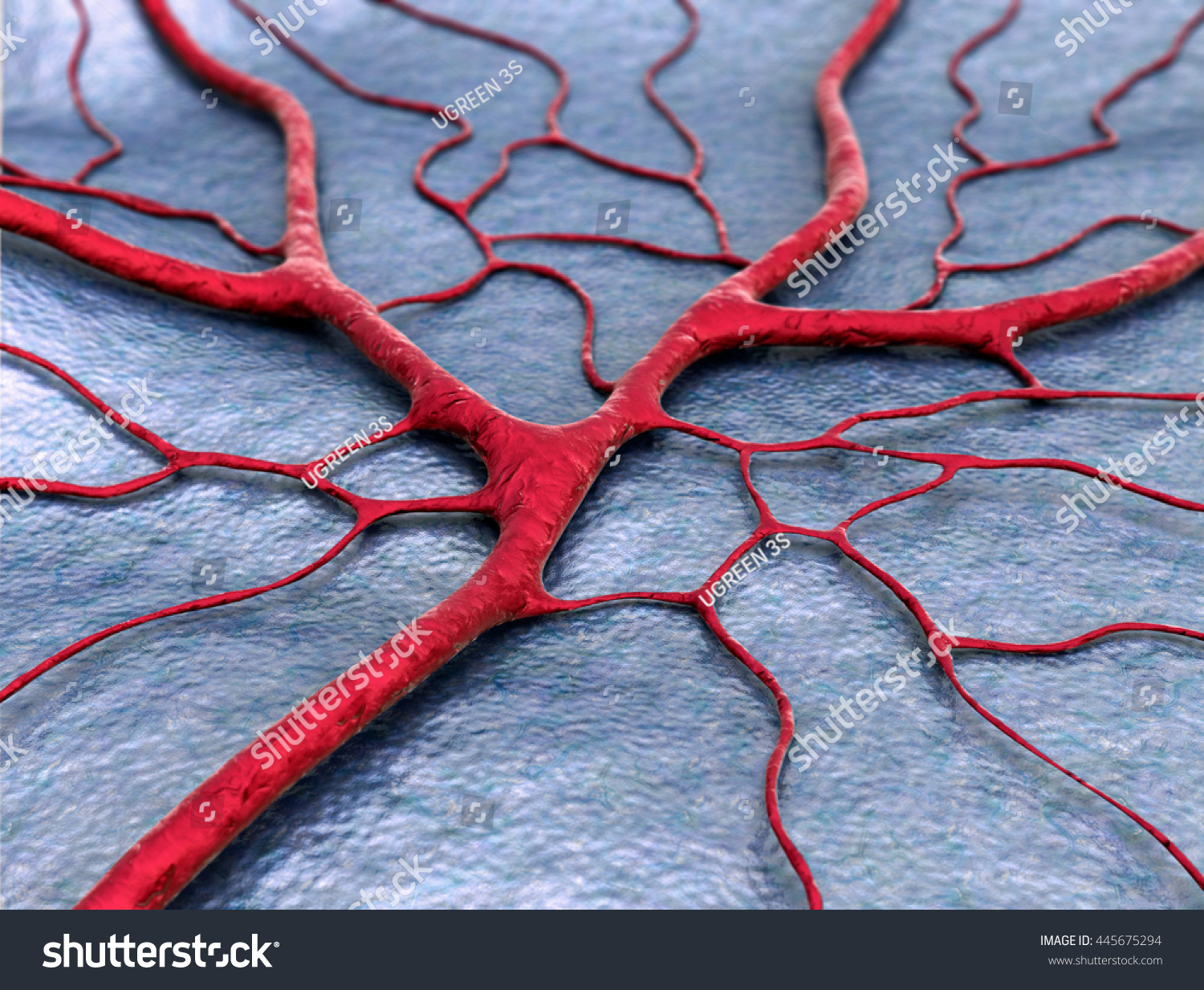 3d Illustration Of Capillary And Cells, Field Of Cells, Cell, Vein ... Biology Diagrams