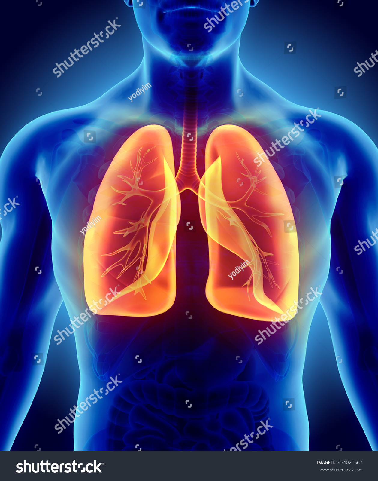 D Illustration Shiny Orange Lungs Part Stock Illustration