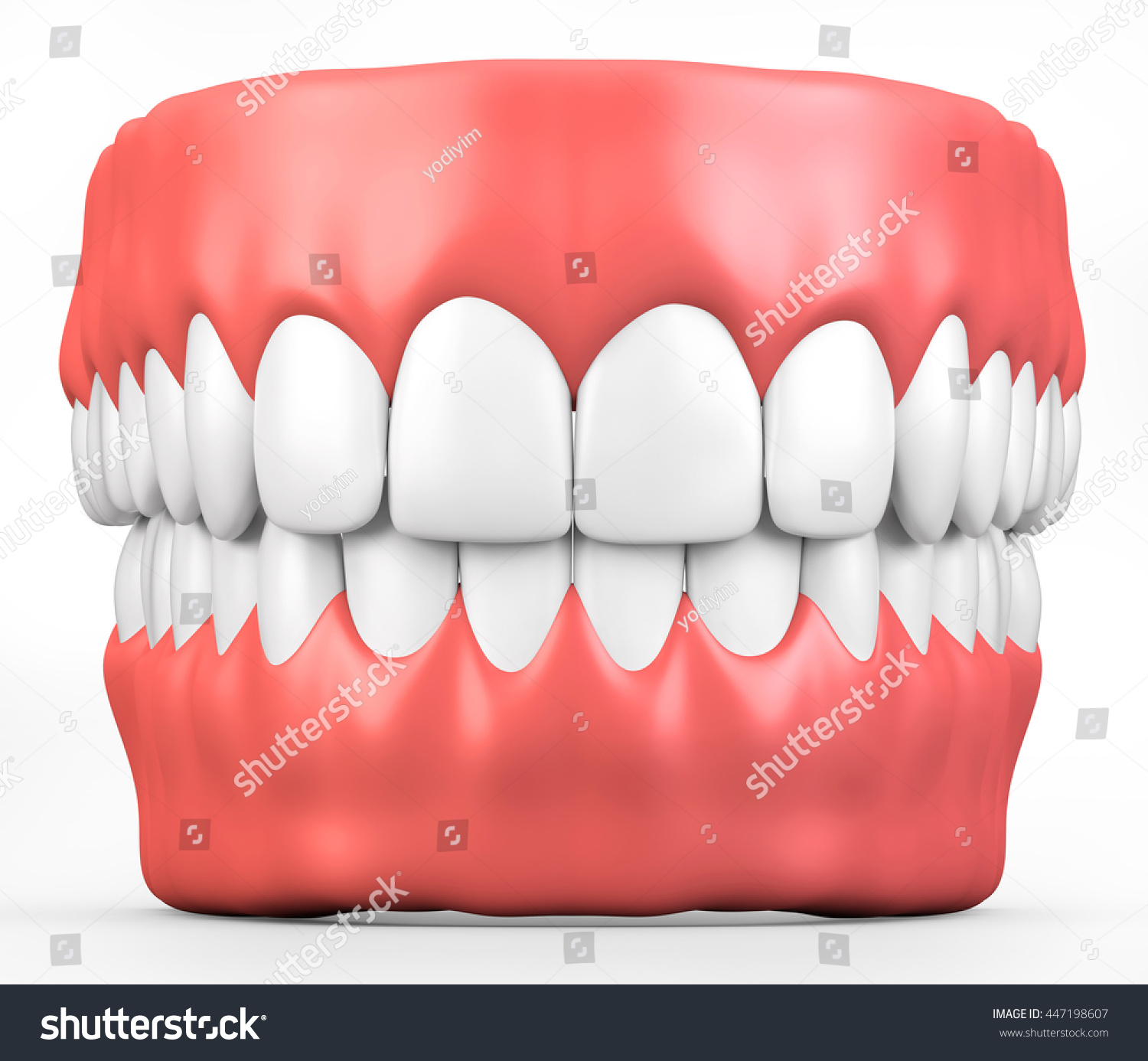 3D illustration teeth and gum model dental concept 3D illustration teeth and gum model dental concept