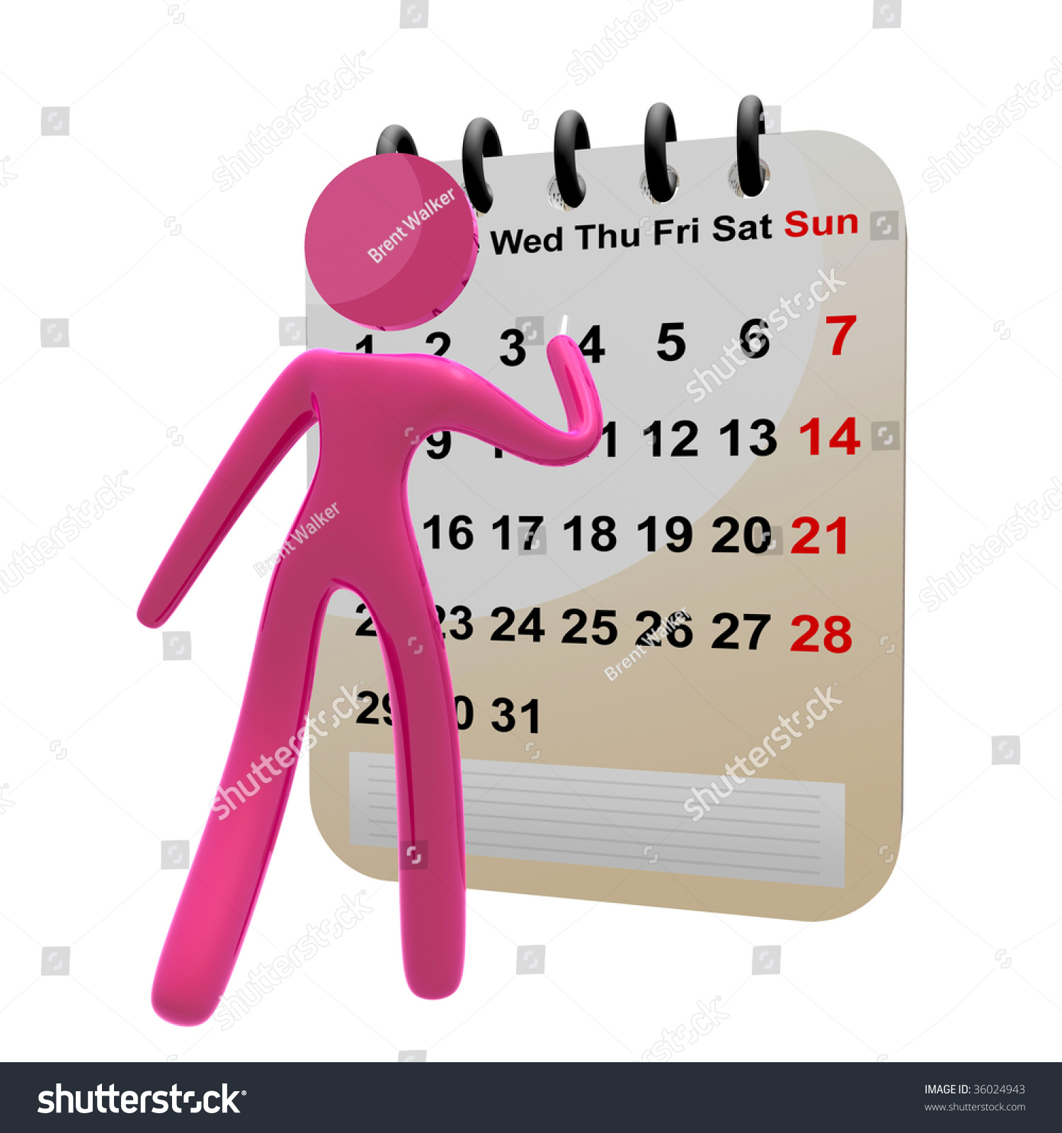 Schedule d stock options