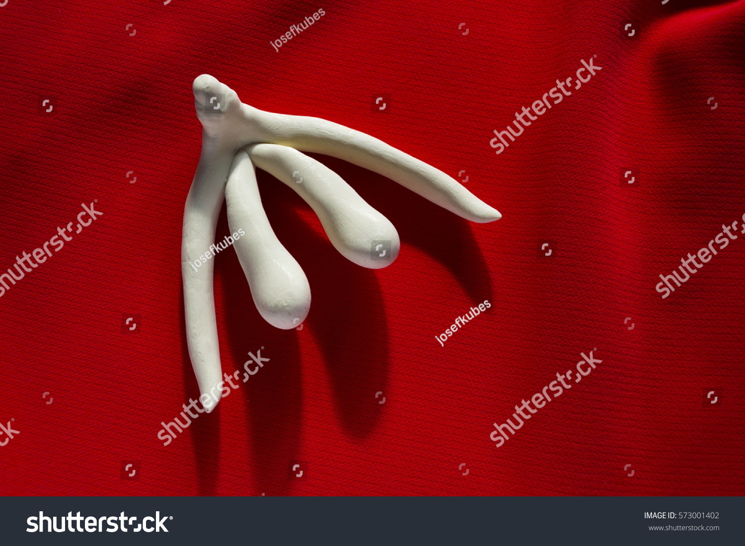 D Printed Female Sex Organ Clitoris Photo De Stock Modifiable